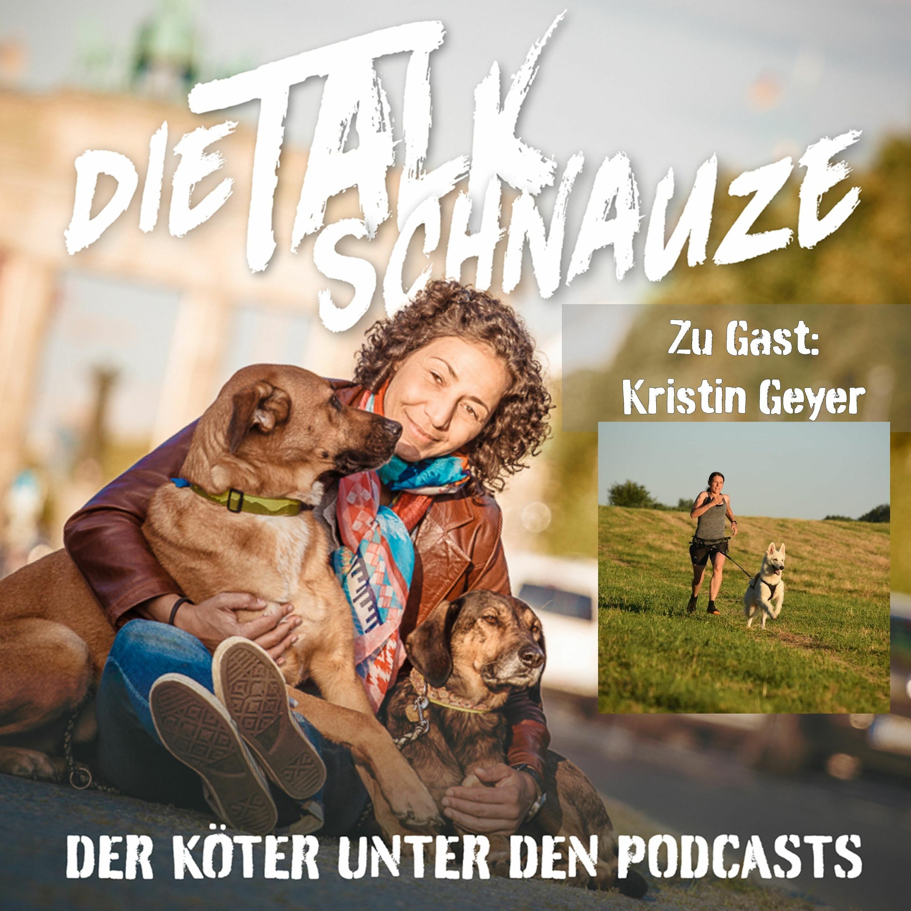 Die Talkschnauzen