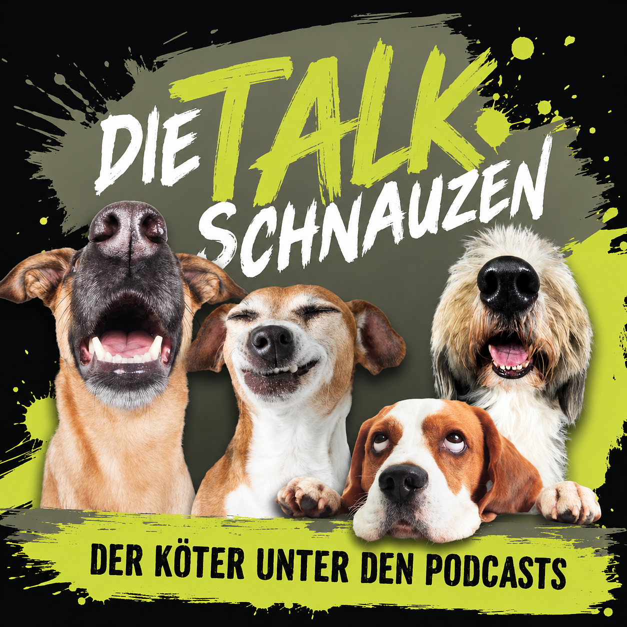 #152 Recap Bundeshundespiele mit Redaktionshase Anne episode artwork