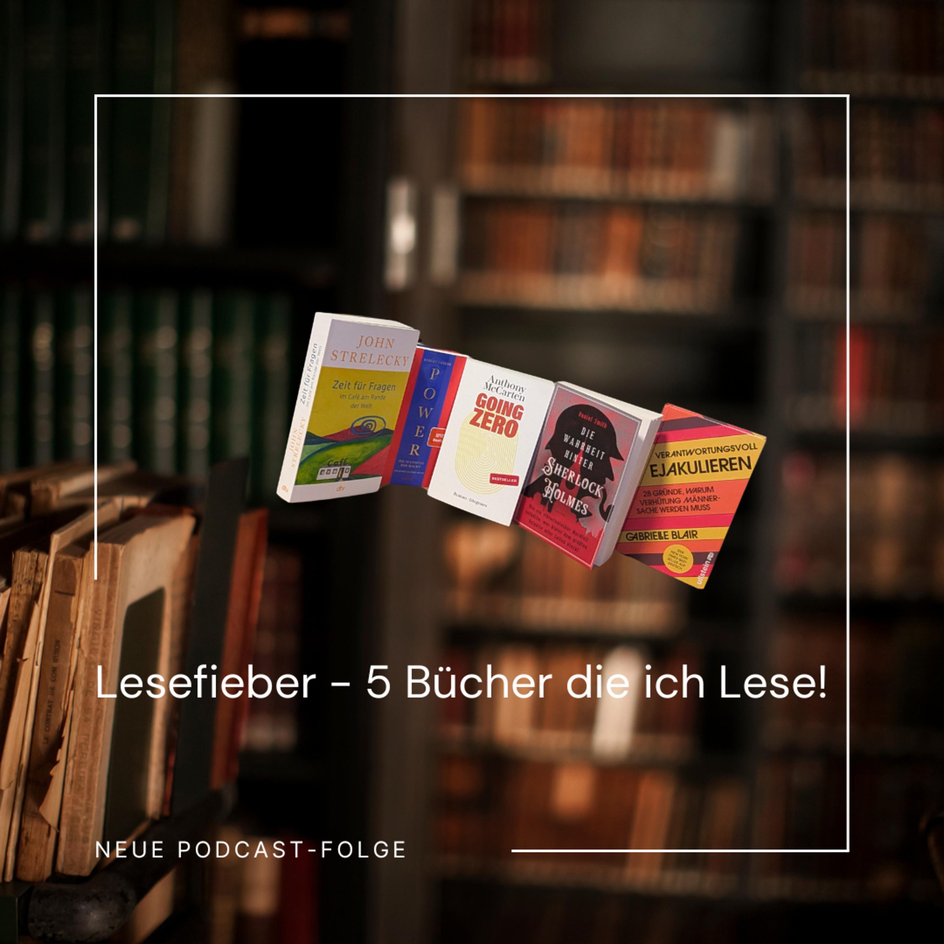 Folge 92: Lesefieber - Bücher die ich aktuell Lese |Info episode artwork