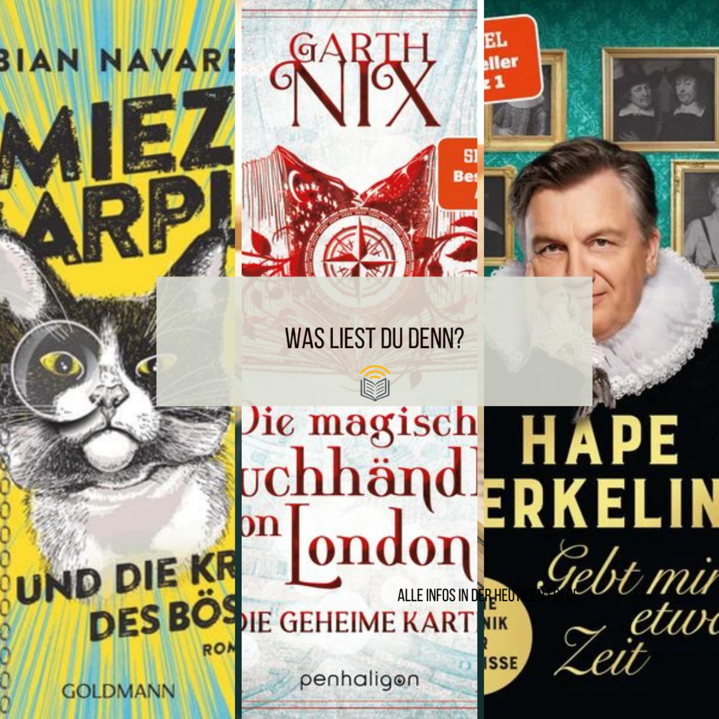 Folge 42: Was liest Du denn? - Miez-London-Hape episode artwork