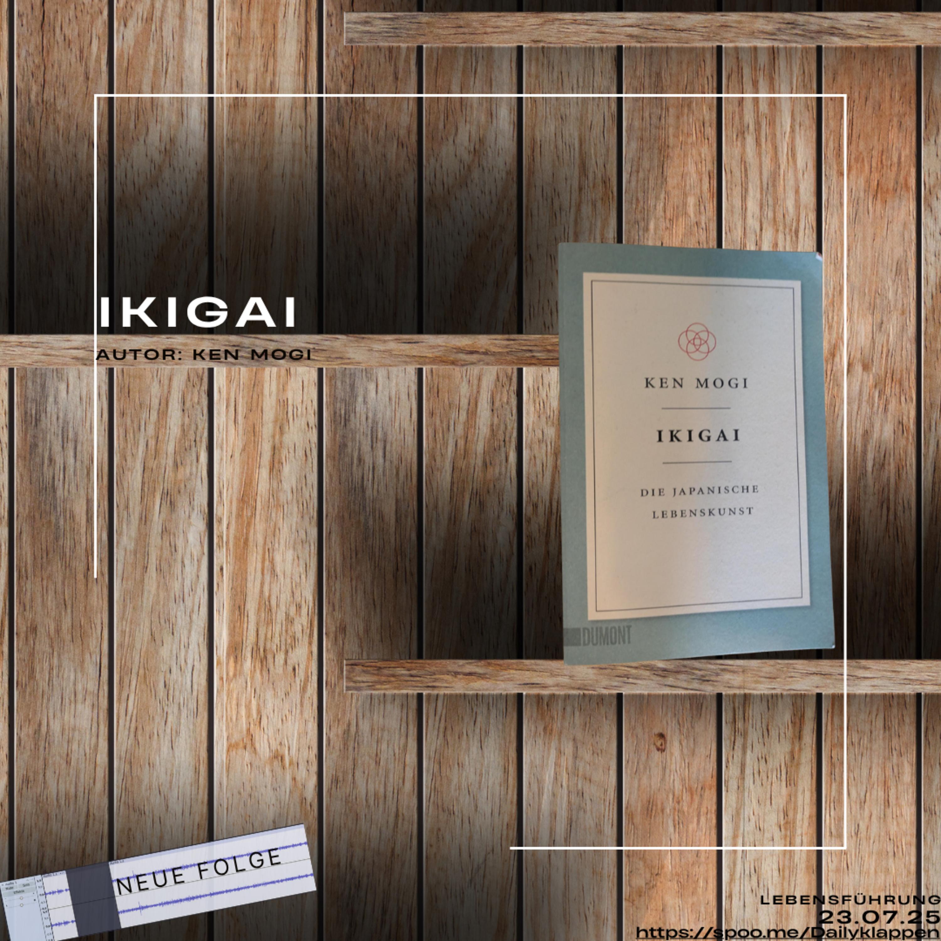 Folge 213: Ikigai | Lebenskunst episode artwork