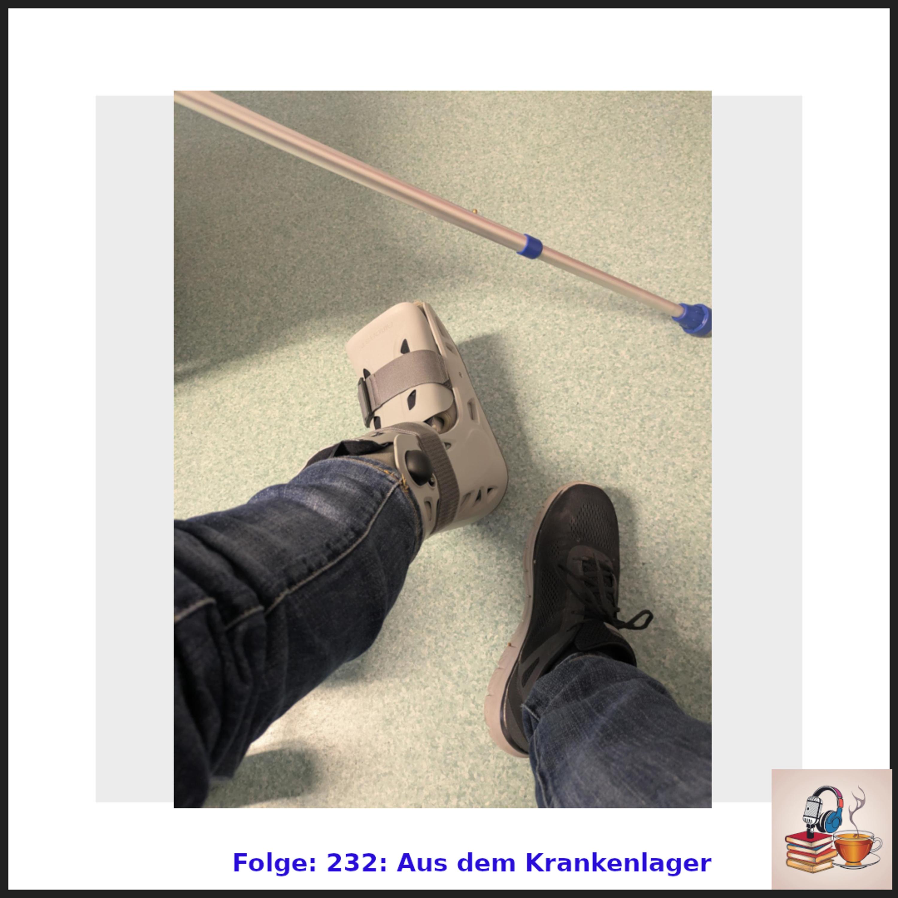 Folge 233: Update aus dem Krankenlager episode artwork