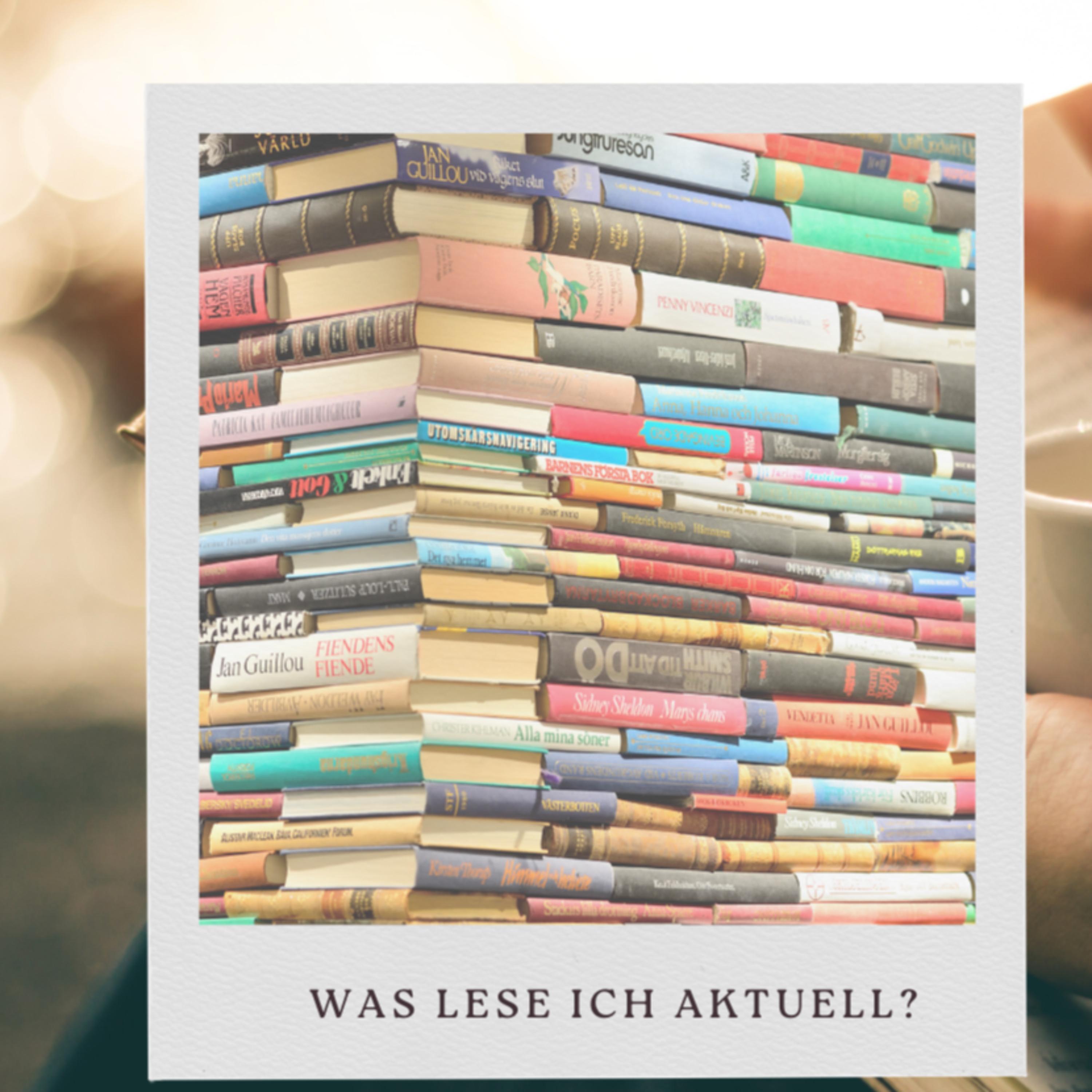 Folge 24: Was ich aktuell Lese und warum? episode artwork