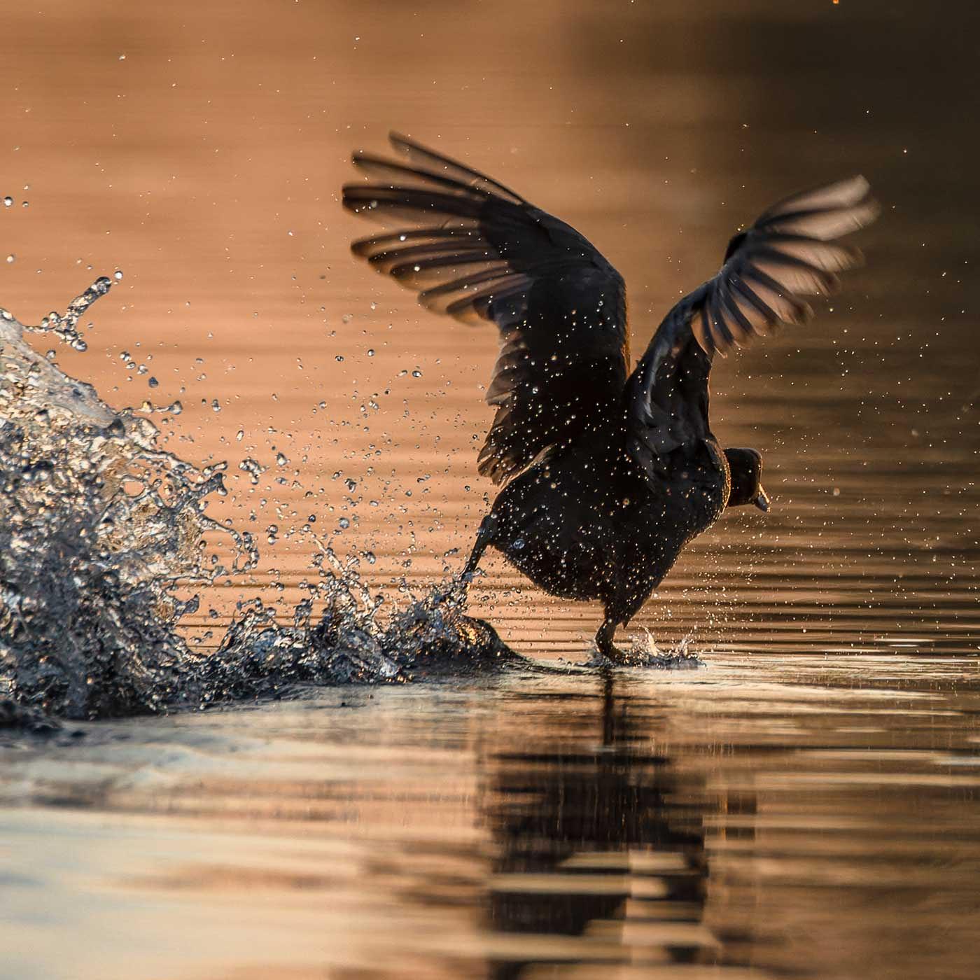 Abenteuer Reportagefotografie – Podcast über visuelles Storytelling