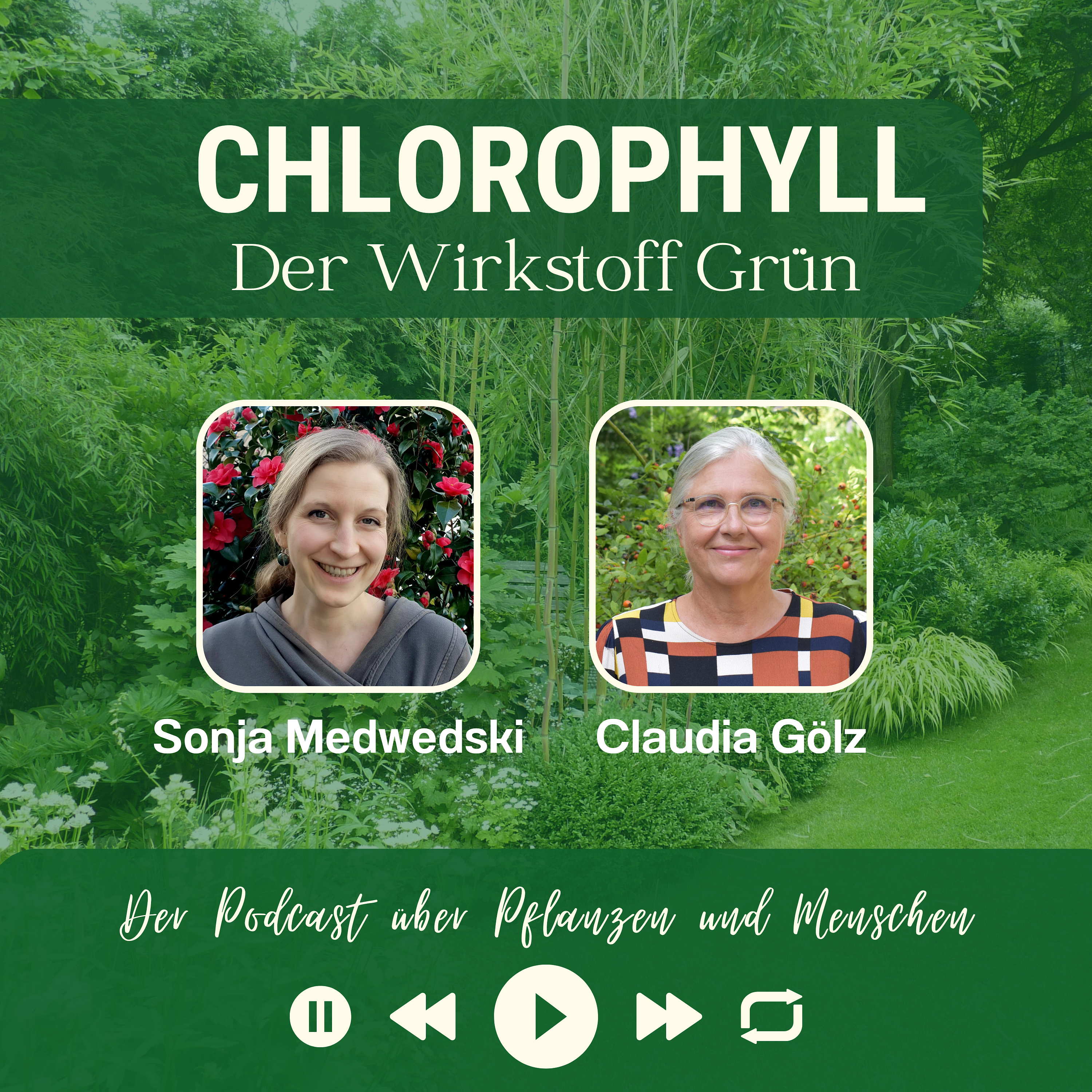 # 36 - Sonja Medwedski über die Stimme des Bodens episode artwork