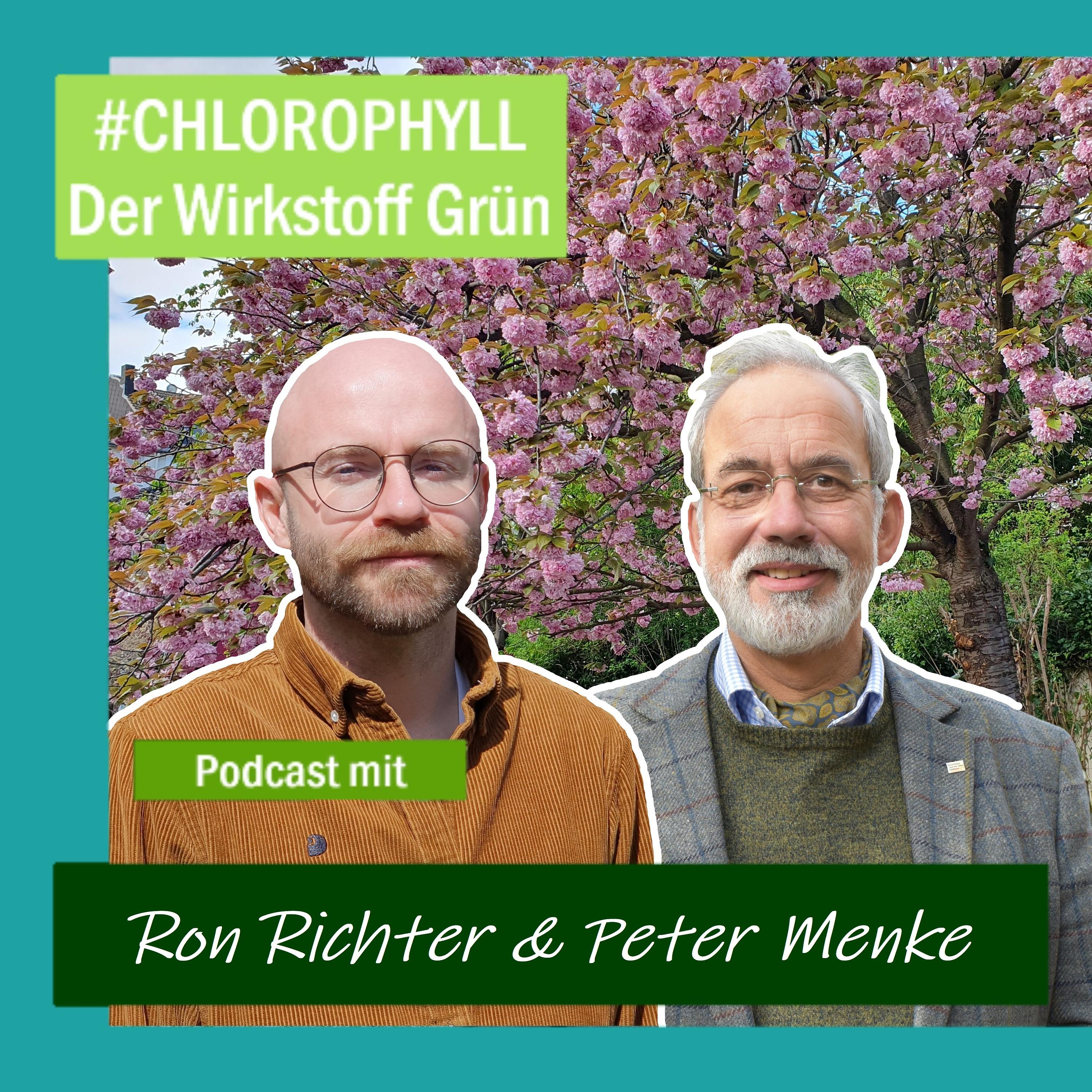CHLOROPHYLL- der Wirkstoff Grün