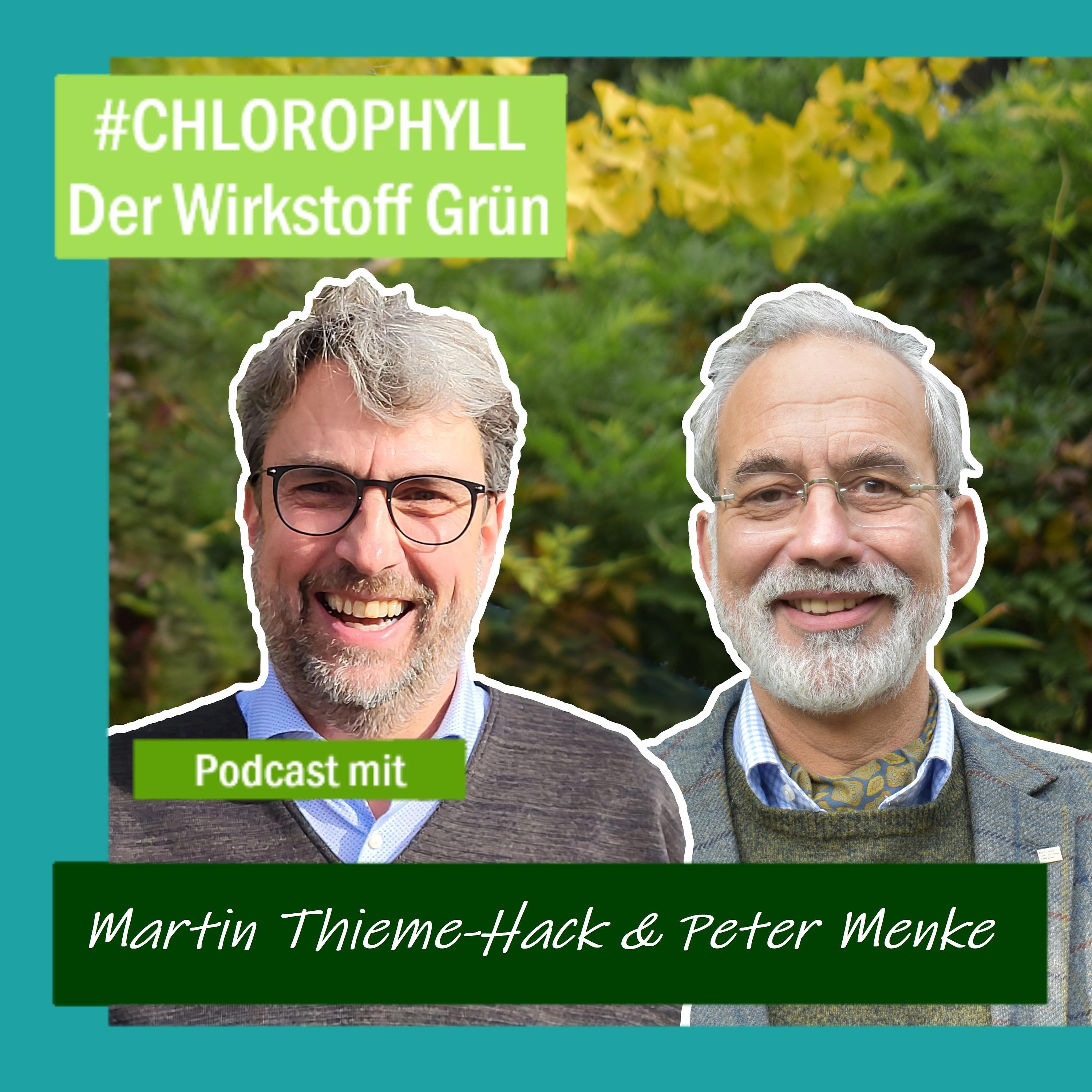 CHLOROPHYLL- der Wirkstoff Grün