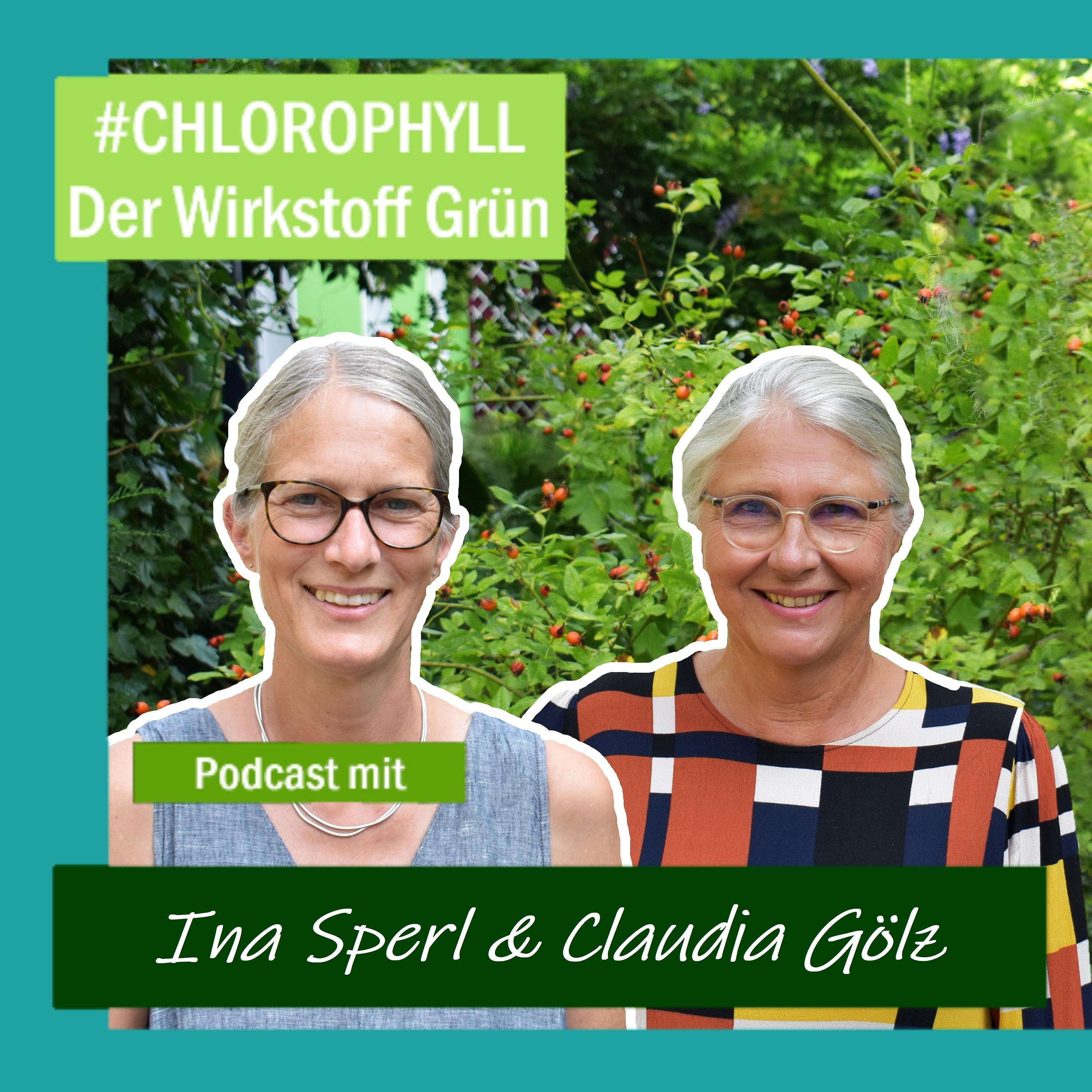 CHLOROPHYLL- der Wirkstoff Grün
