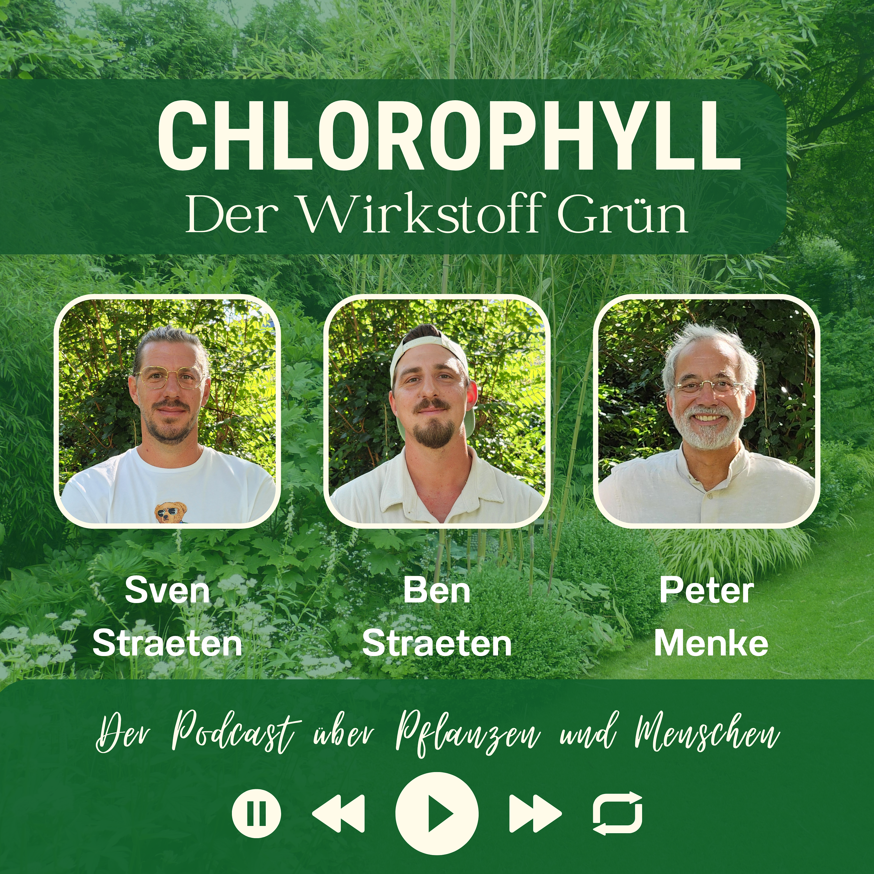 CHLOROPHYLL- der Wirkstoff Grün