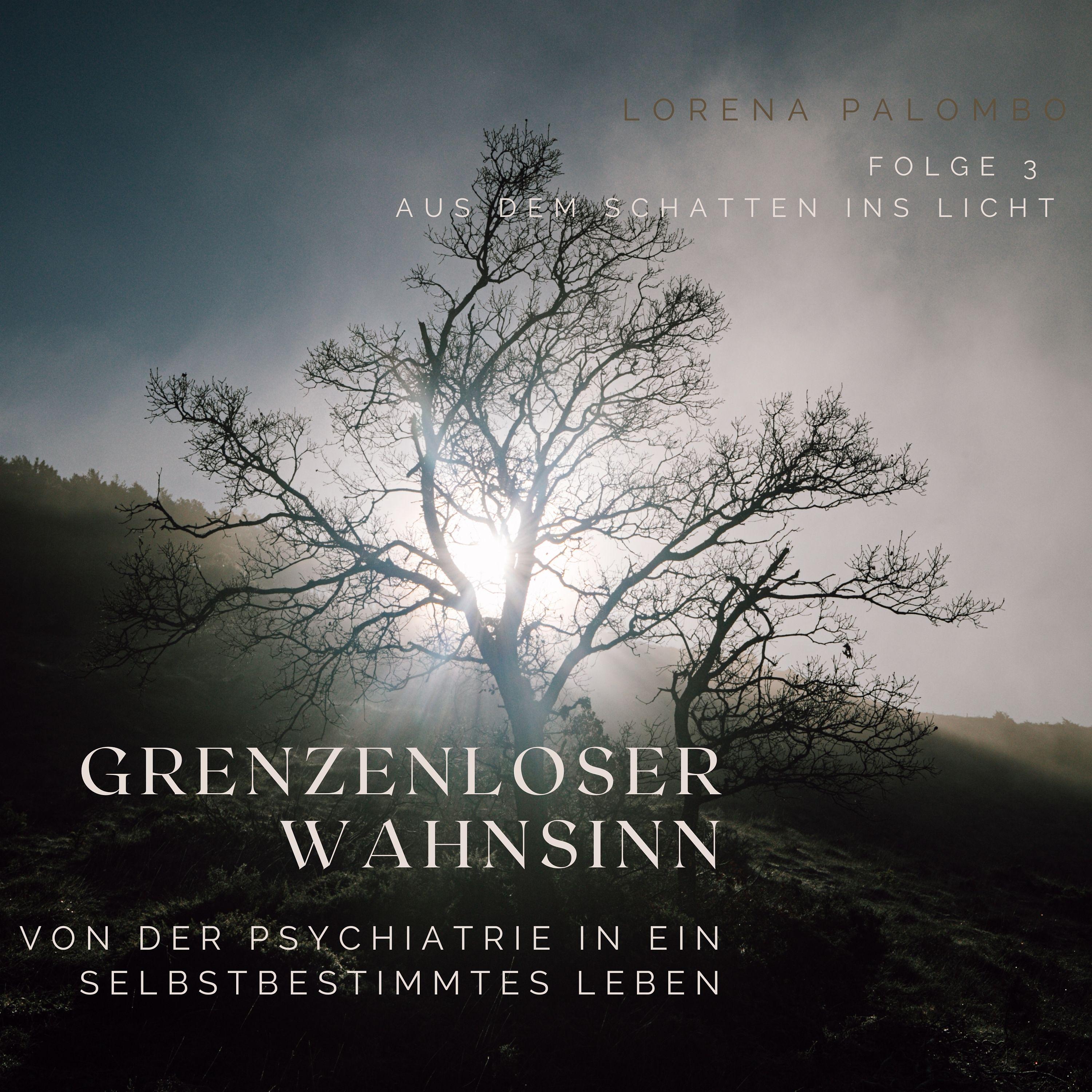 3 / Aus dem Schatten ins Licht: Panikattacken & manische Psychosen episode artwork
