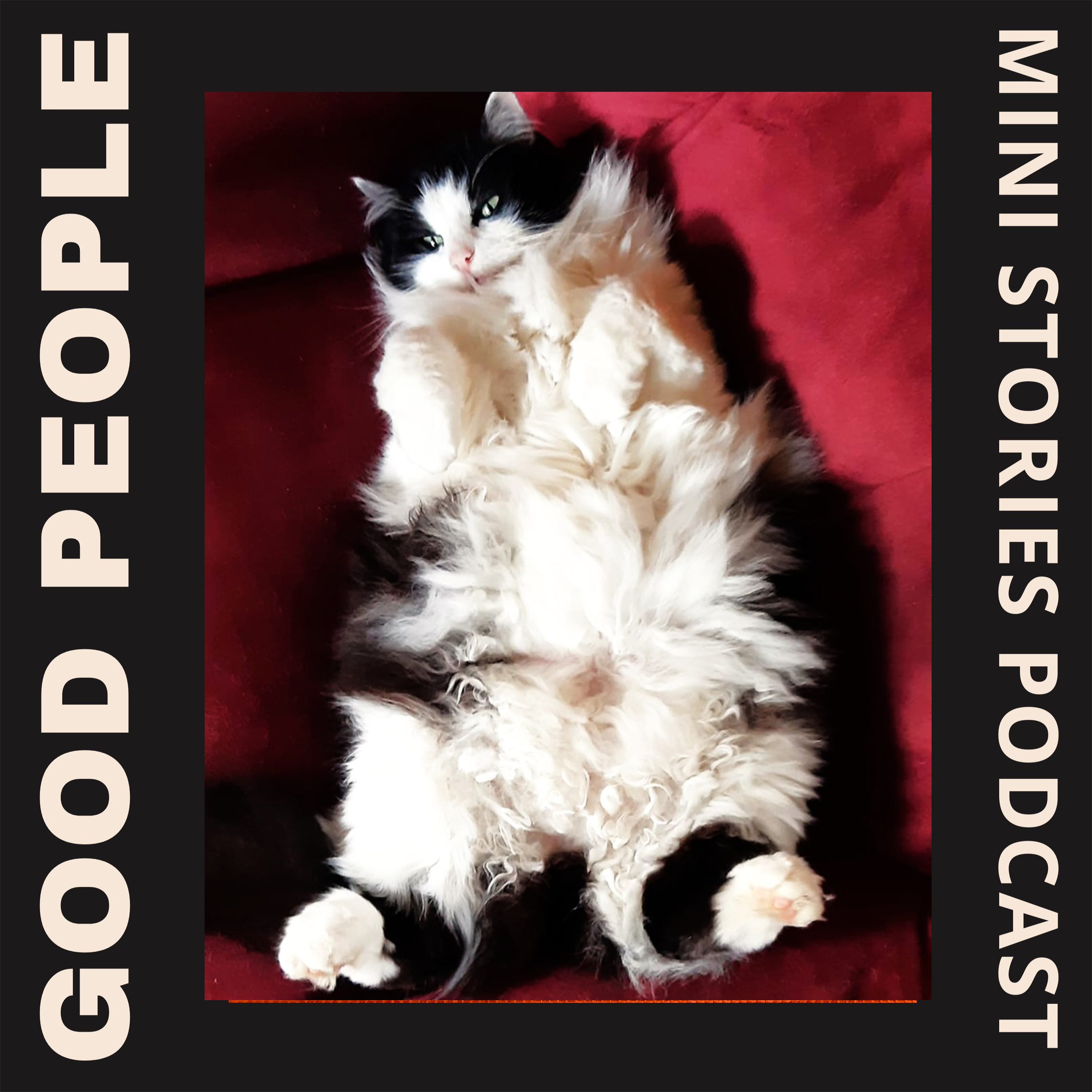 Good People auf vier Pfoten episode artwork