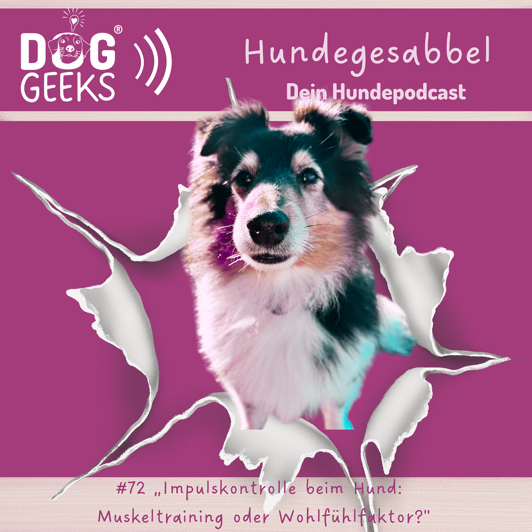 DogGeeks Hundegesabbel