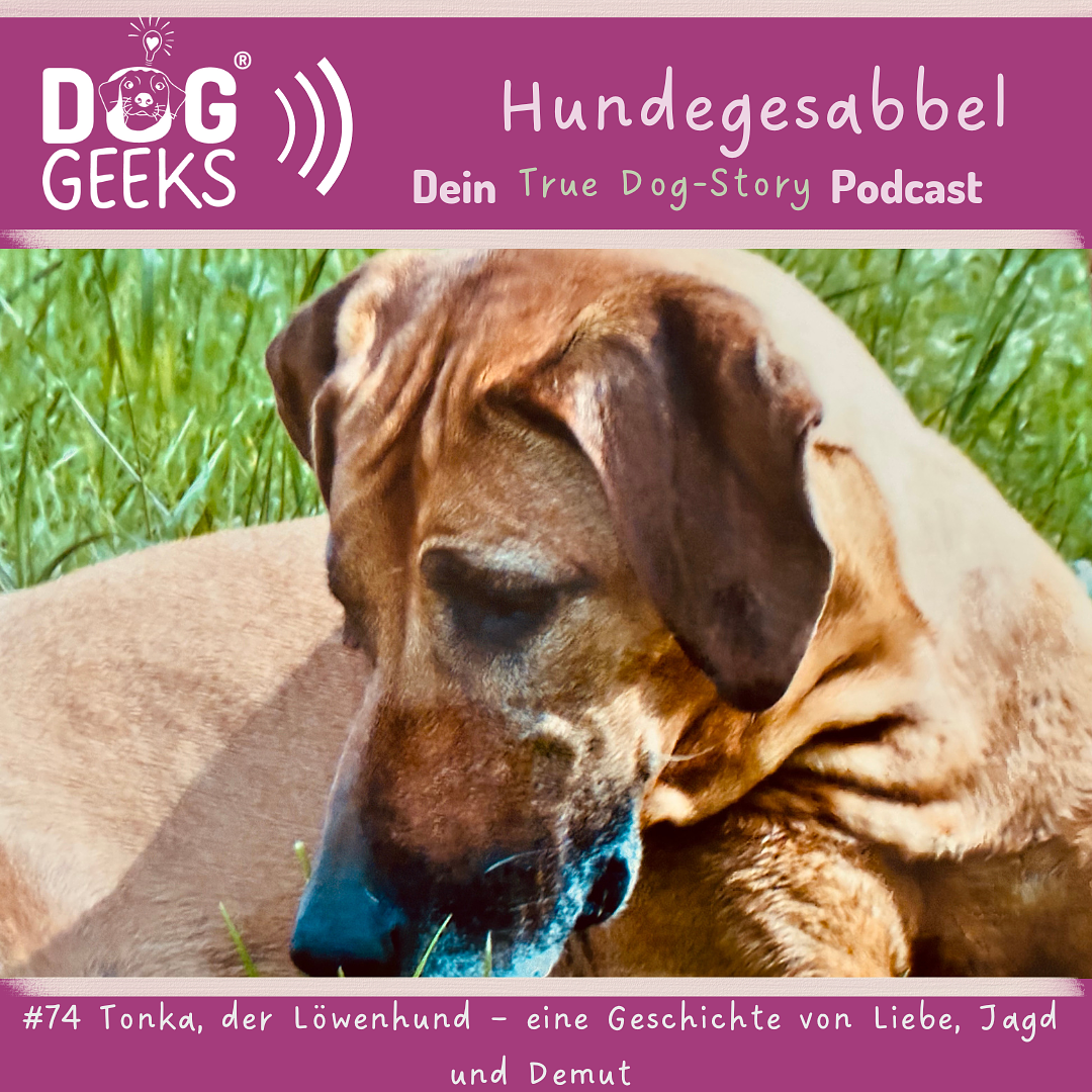 #74 DogGeeks-Hundegesabbel „Tonka der Löwenhund - eine Geschichte von Liebe, Jagd und Demut“
