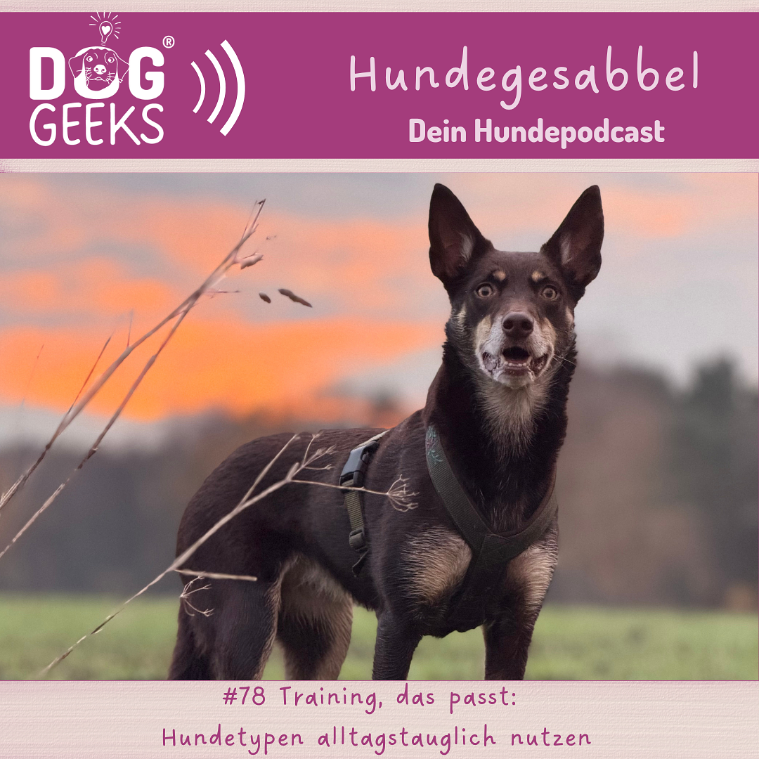 #78 Hundegesabbel „ Training, das passt: Hundetypen alltagstauglich nutzen“