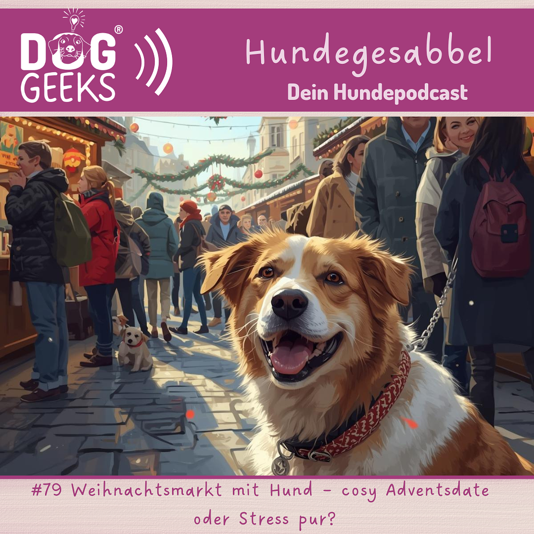 #79 Weihnachtsmarkt mit Hund – cosy Adventsdate  oder Stress pur?