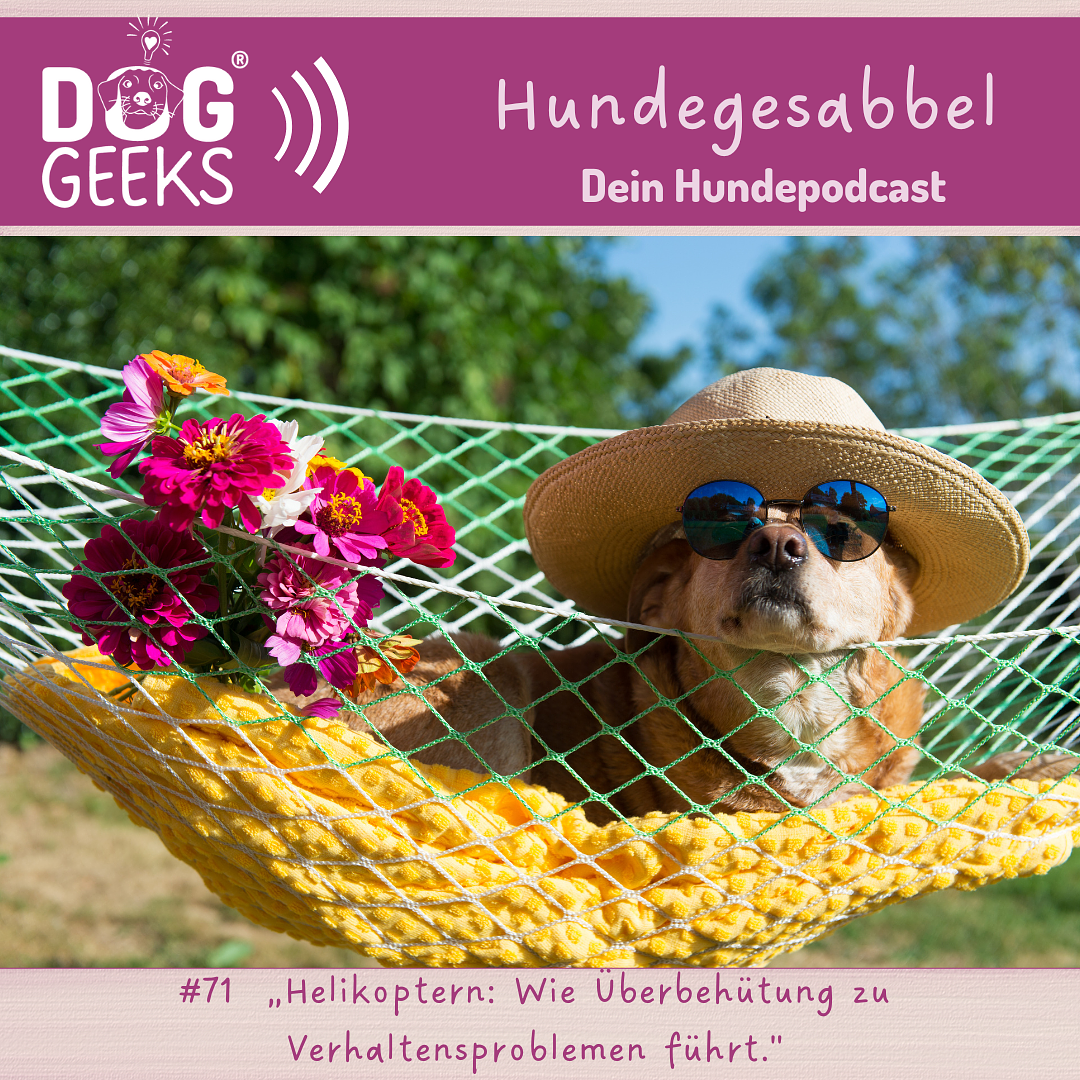 DogGeeks Hundegesabbel