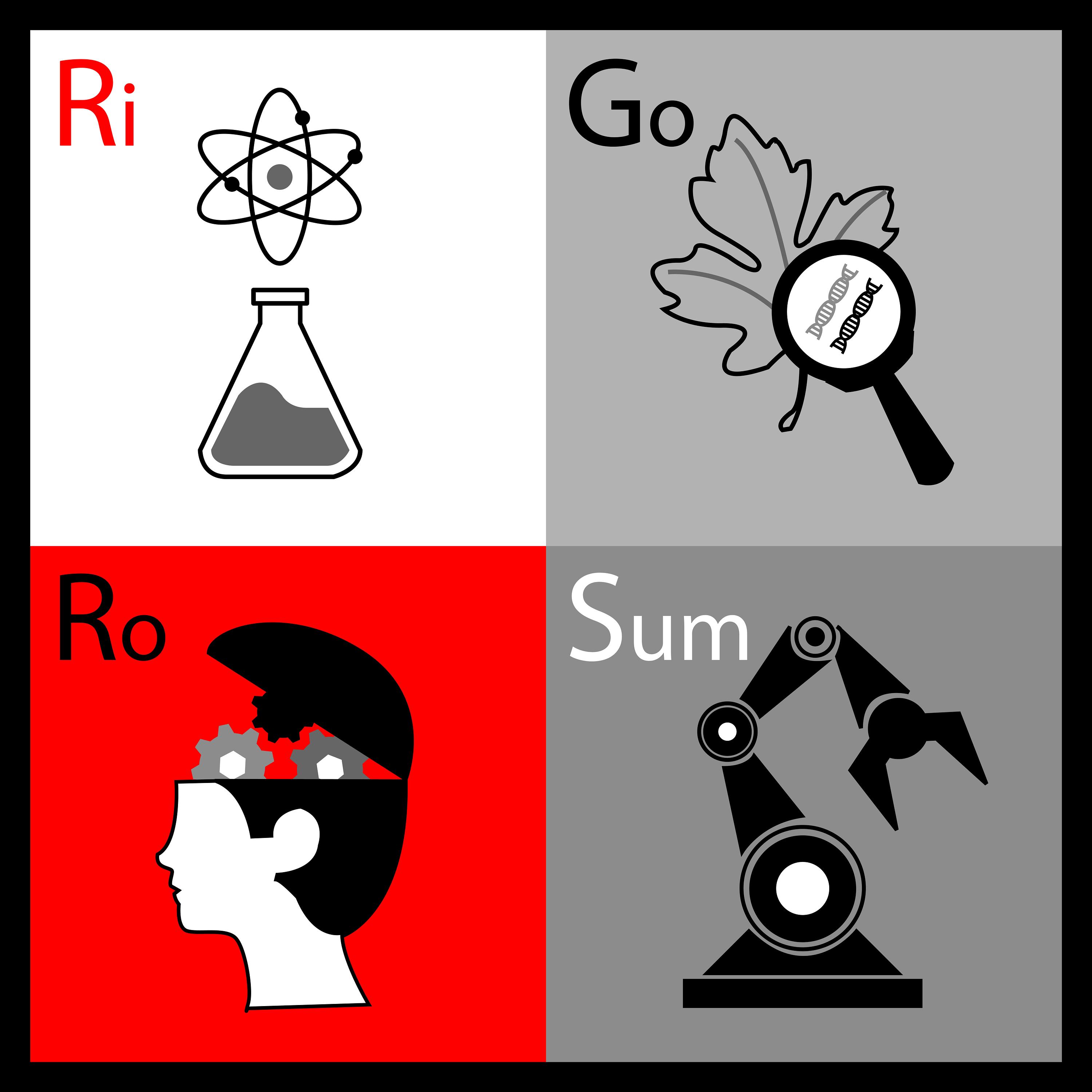 Rigorosum