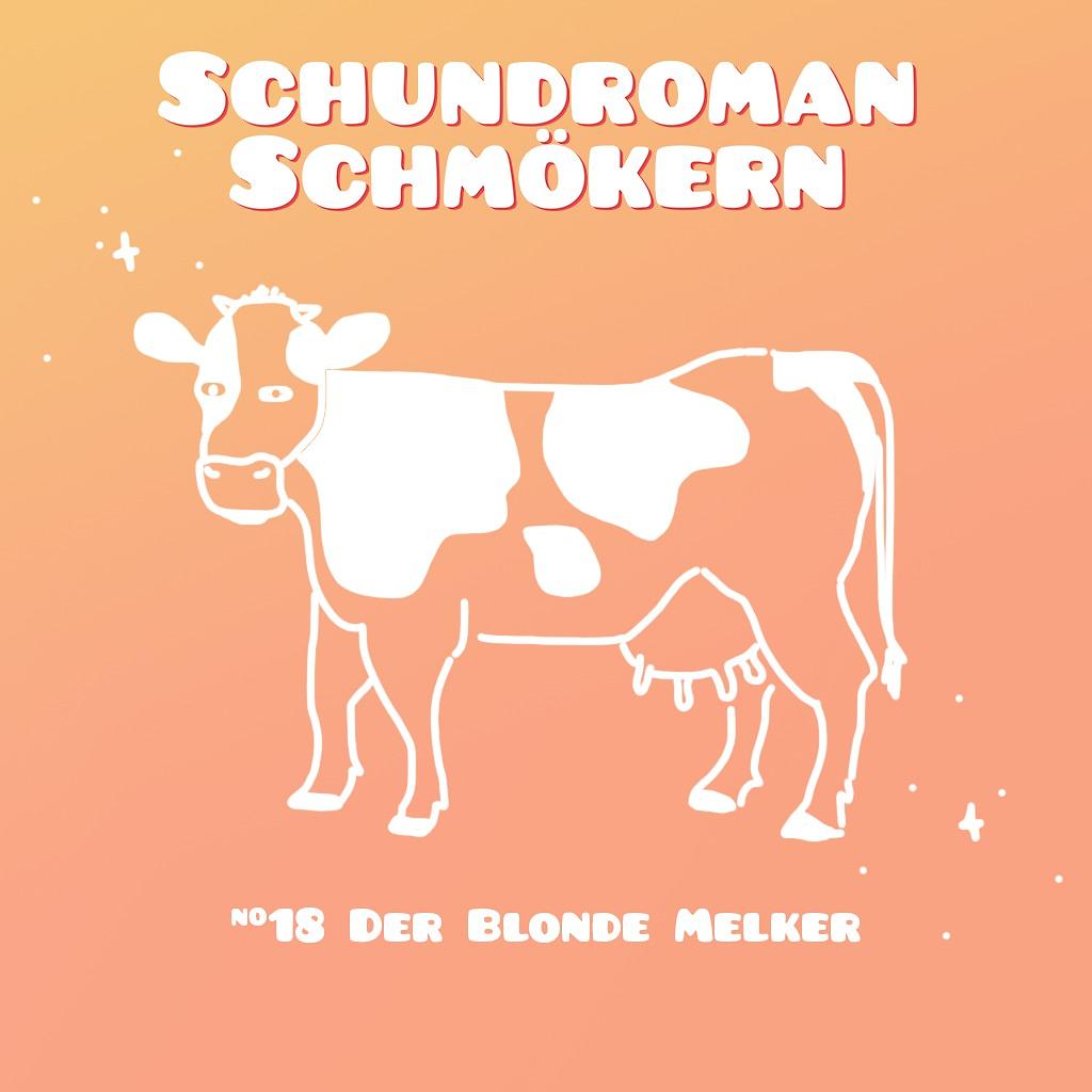 Schundroman Schmökern