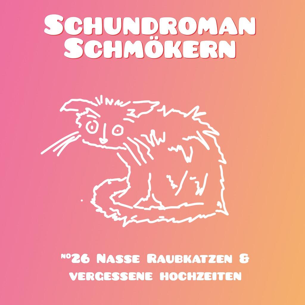 Schundroman Schmökern