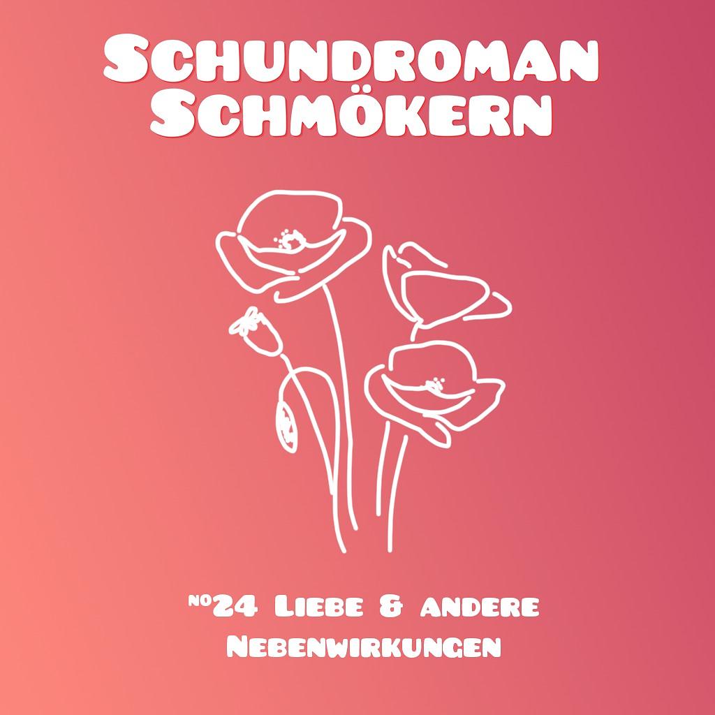 Schundroman Schmökern