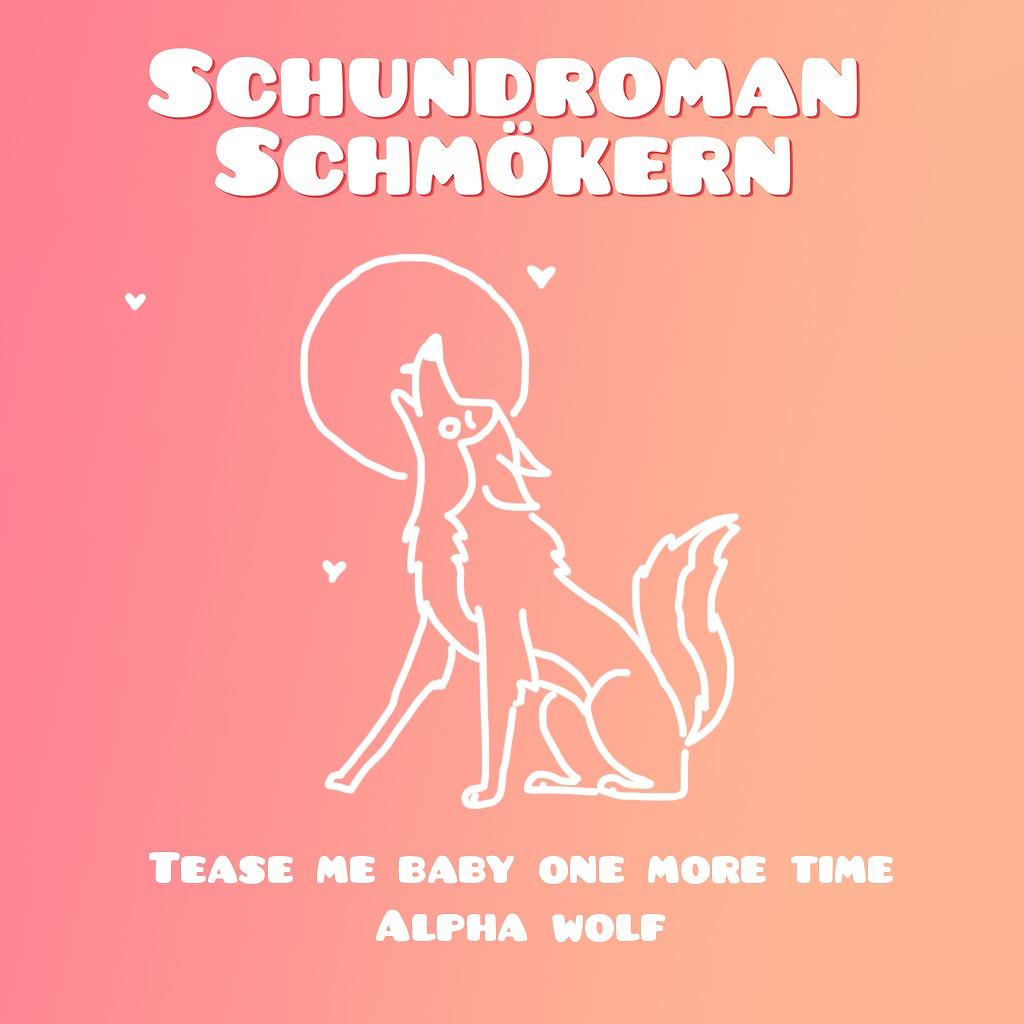 Schundroman Schmökern