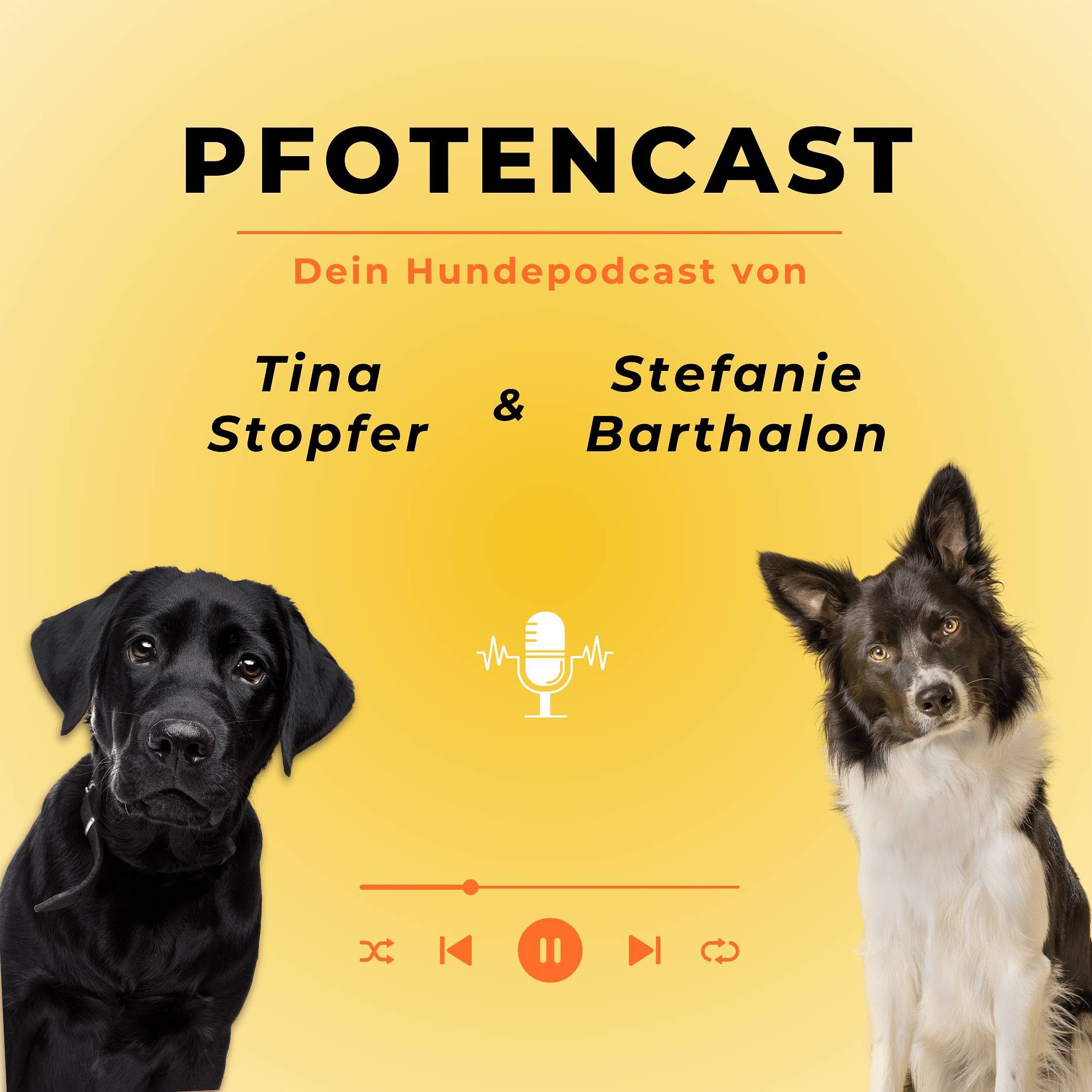 Pfotencast | Der Hundepodcast mit den Hundephysiotherapeutinnen Tina Stopfer & Stefanie Barthalon podcast artwork