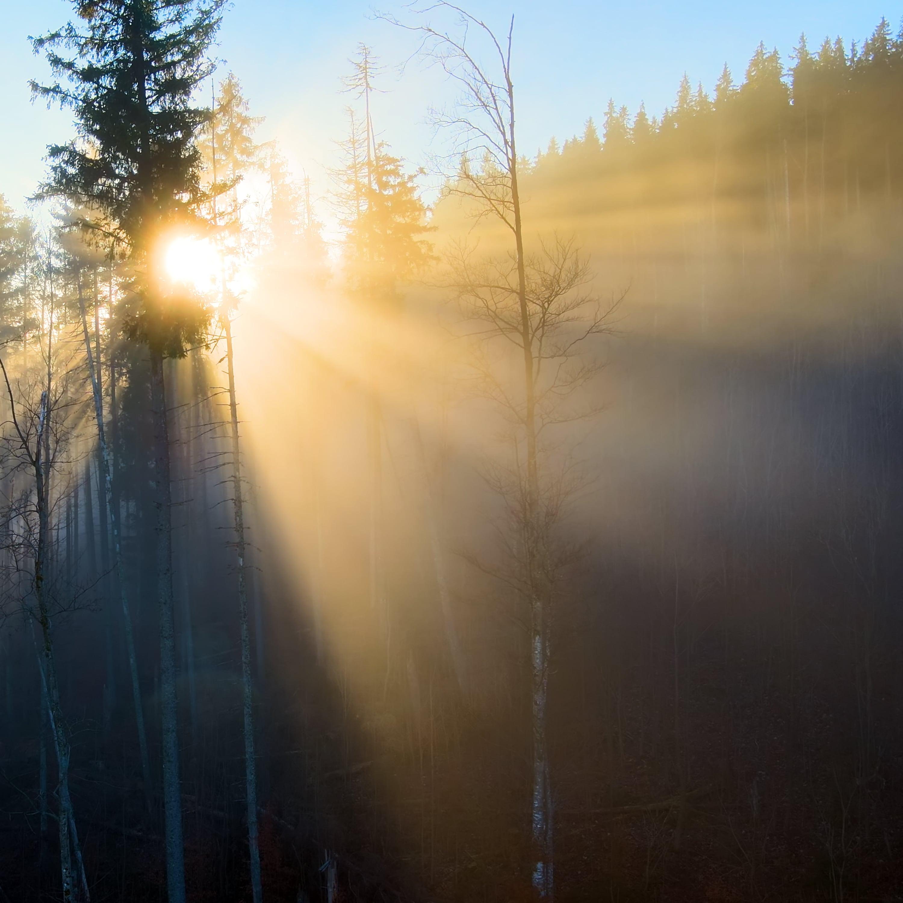 LIEBENZELLER MISSION