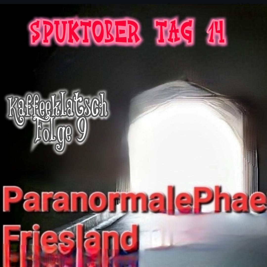 Geister Cafè - Spuktober 2024 Tag 14-  Interview mit Paranormal Friesland episode artwork