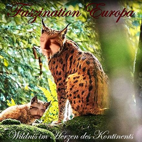 Faszination Europa episode artwork