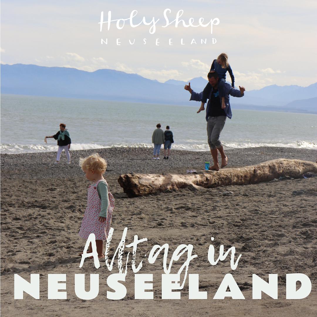 HOLY SHEEP - Neuseeland