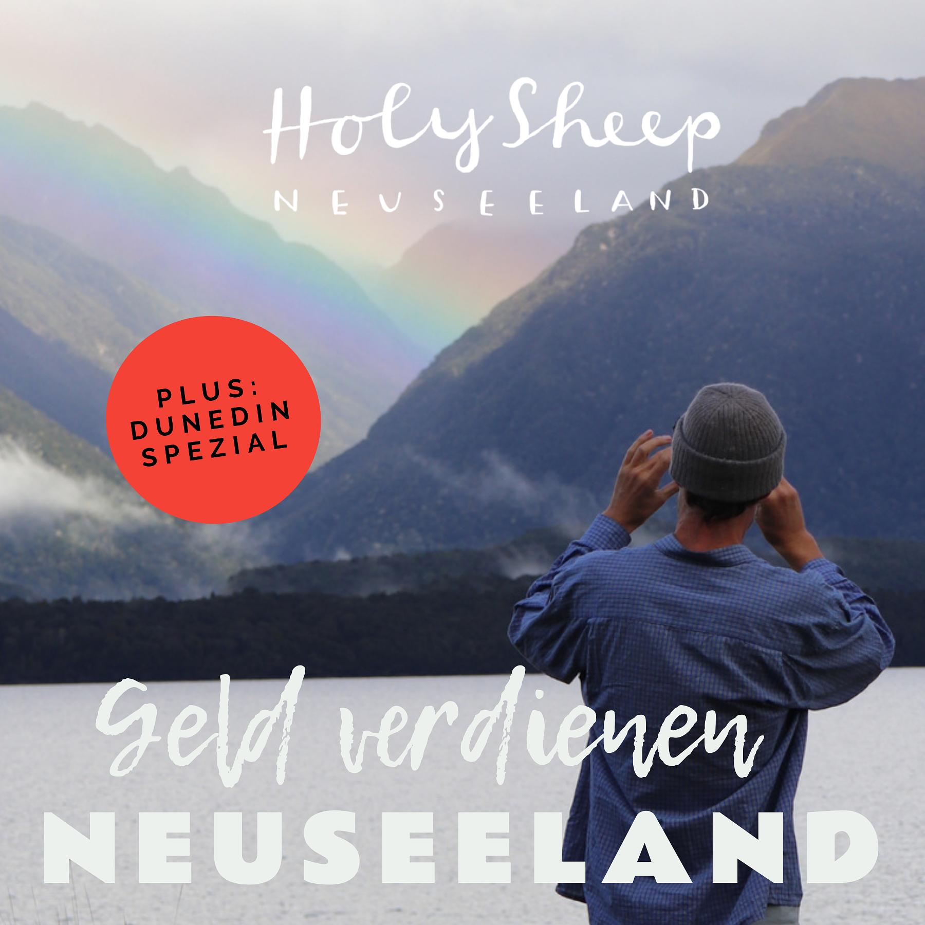 HOLY SHEEP - Neuseeland