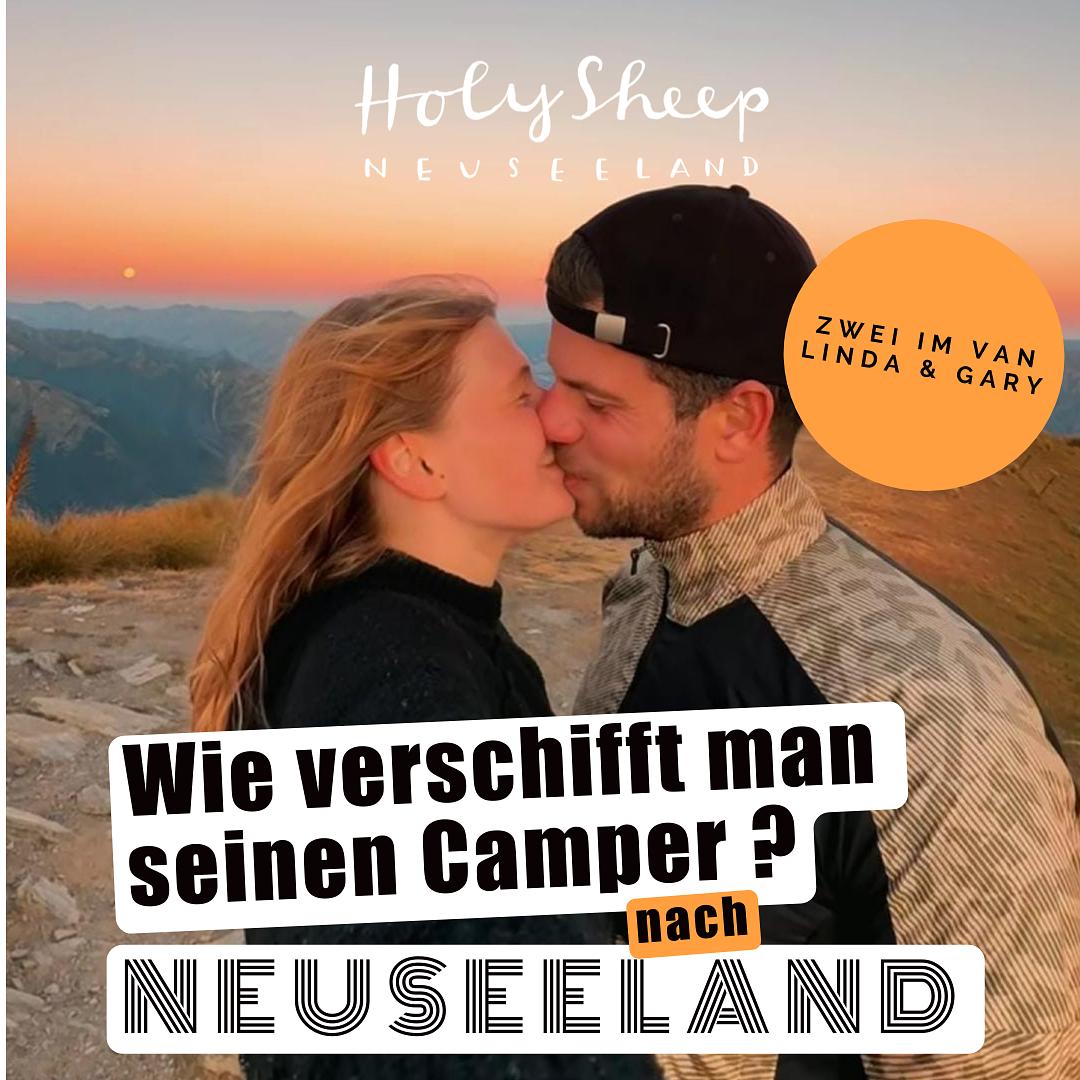 HOLY SHEEP - Neuseeland