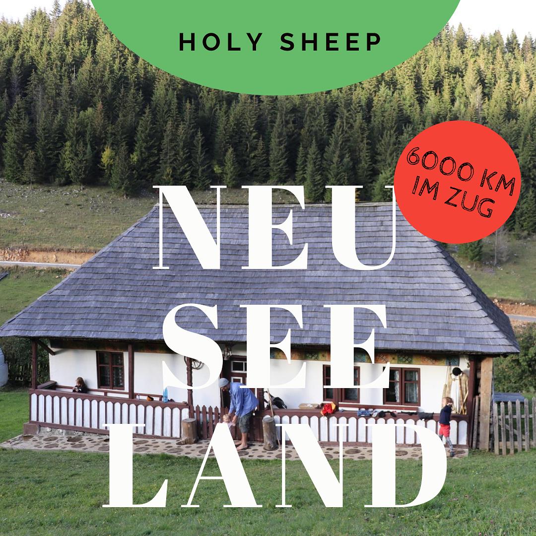 HOLY SHEEP - Neuseeland