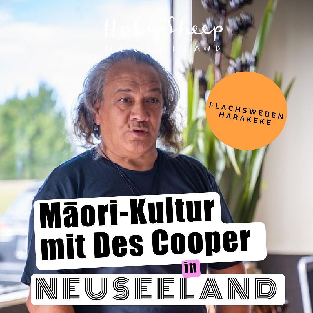 HOLY SHEEP - Neuseeland