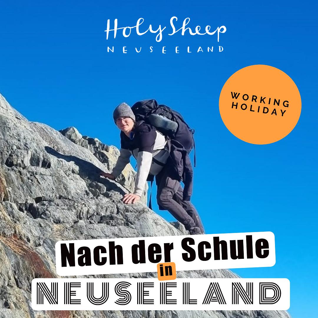 Working Holiday in Neuseeland: Über sich hinauswachsen - mit Niklas