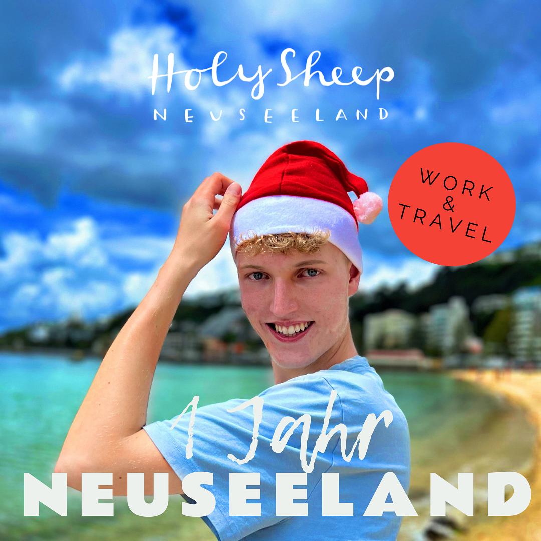 HOLY SHEEP - Neuseeland