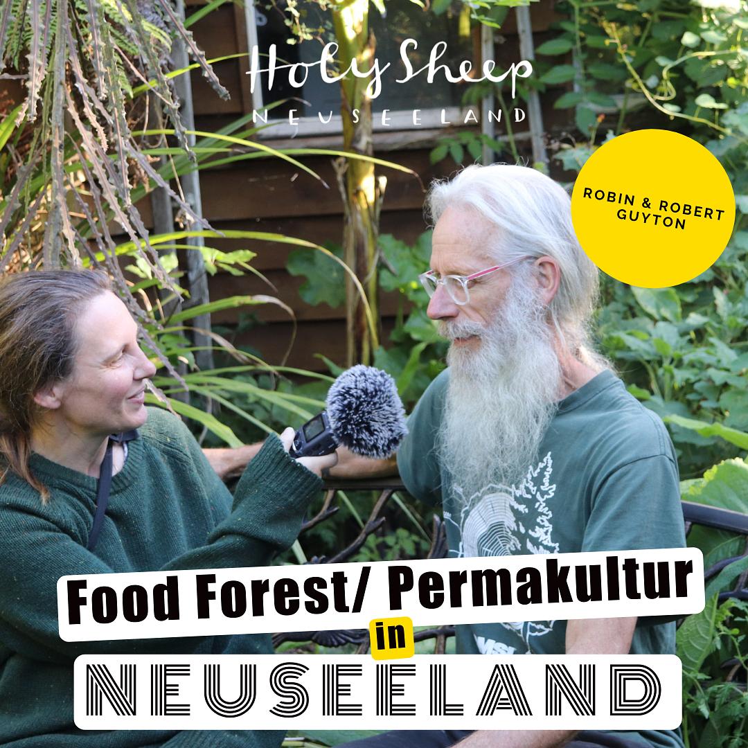 HOLY SHEEP - Neuseeland