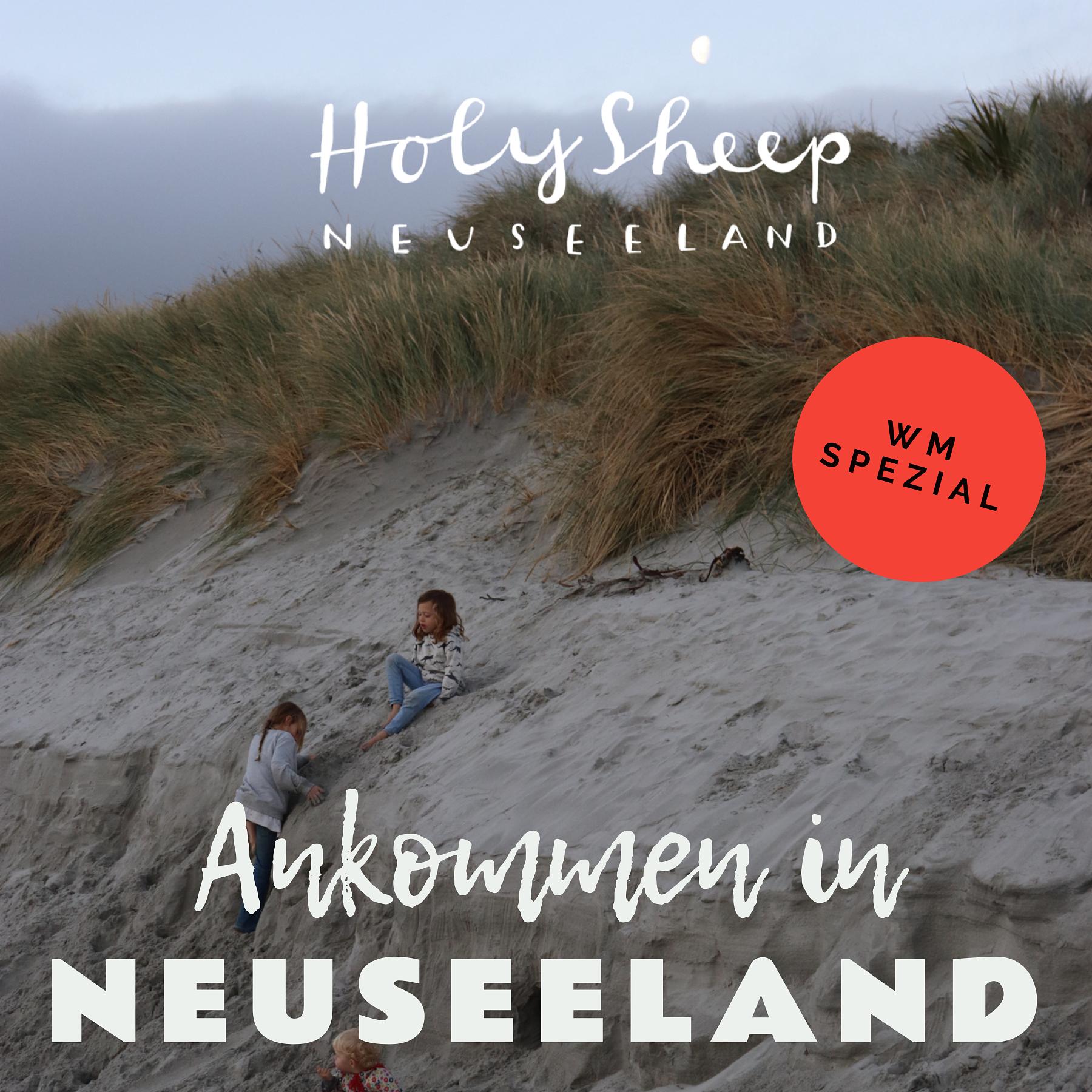 HOLY SHEEP - Neuseeland