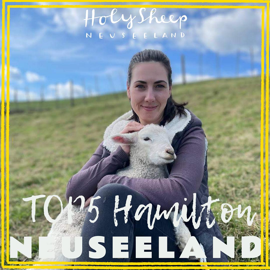 HOLY SHEEP - Neuseeland