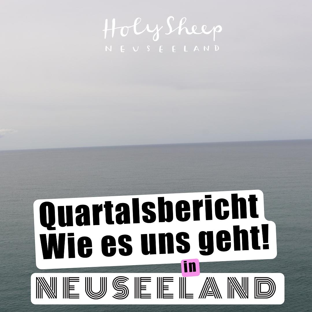 HOLY SHEEP - Neuseeland