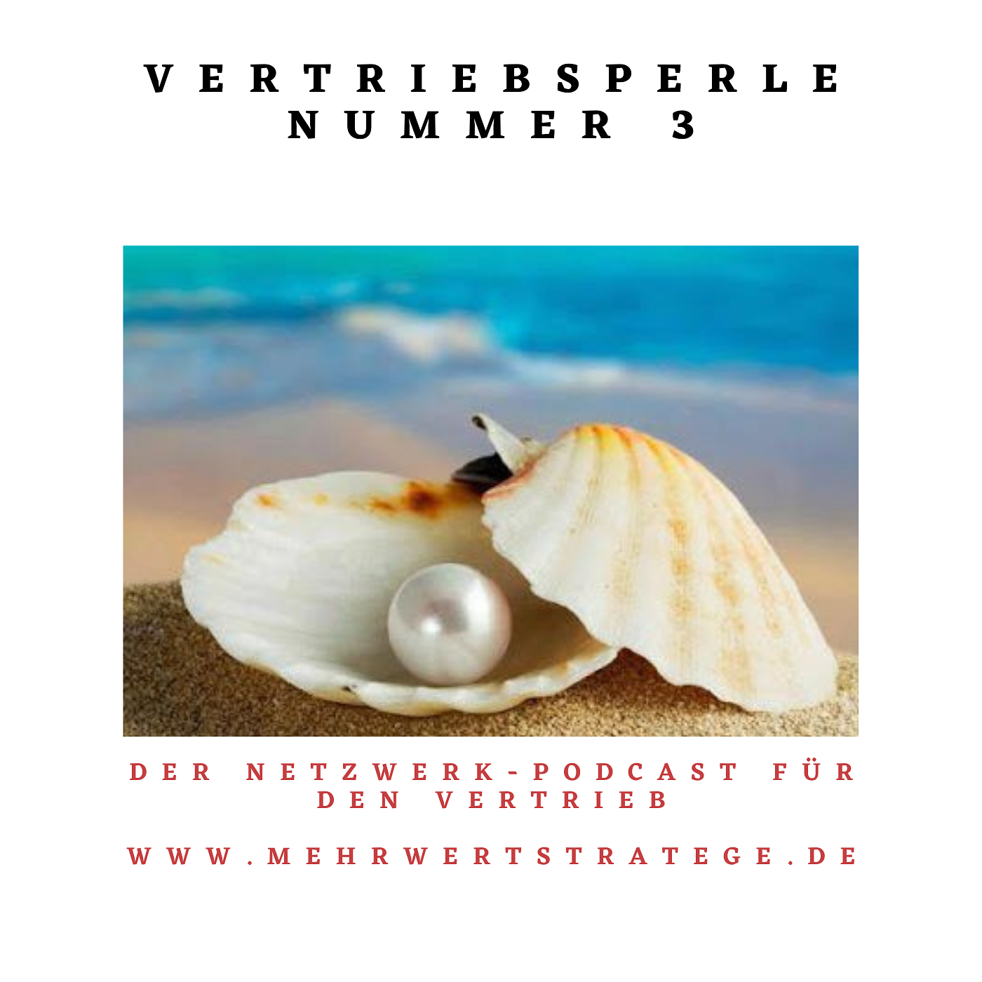 Vertriebsperle Nummer 3 - ZUhören und MITlesen episode artwork