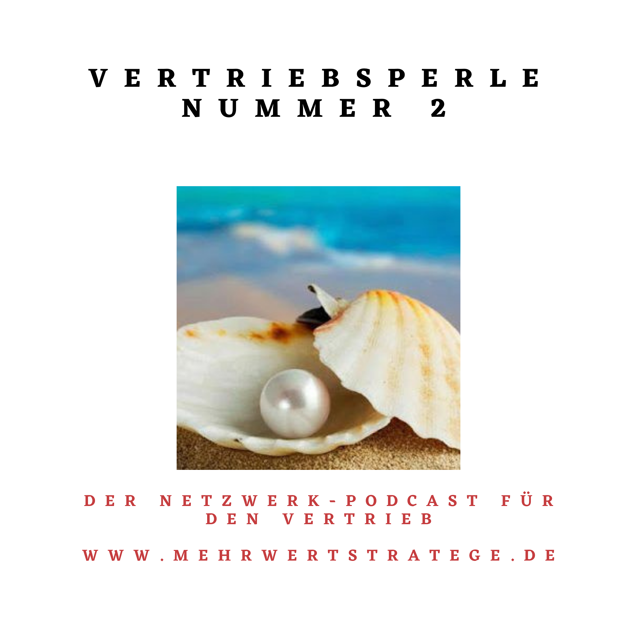 Vertriebsperle 2 - Von den Erfolgen anderer lernen episode artwork