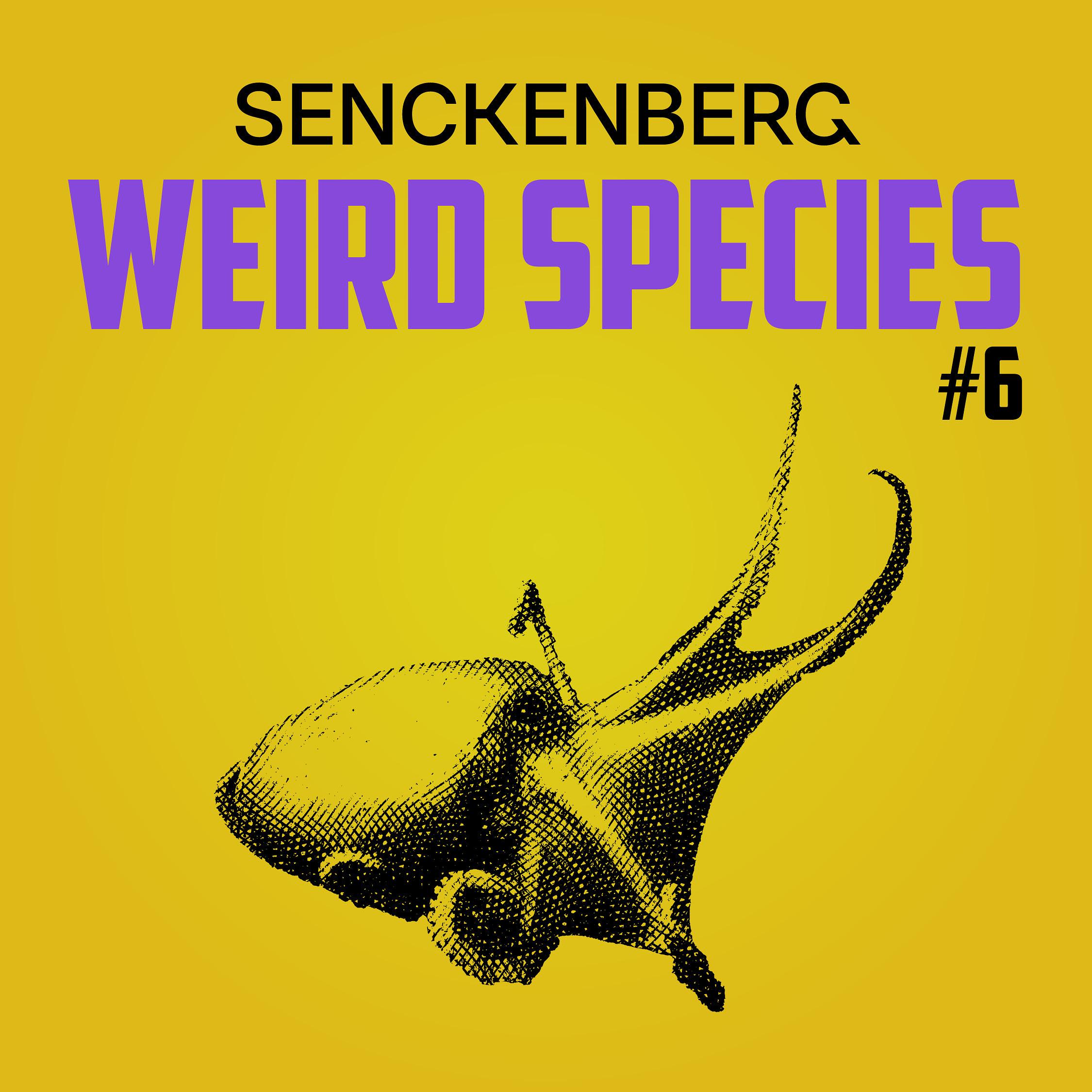 Weird Species