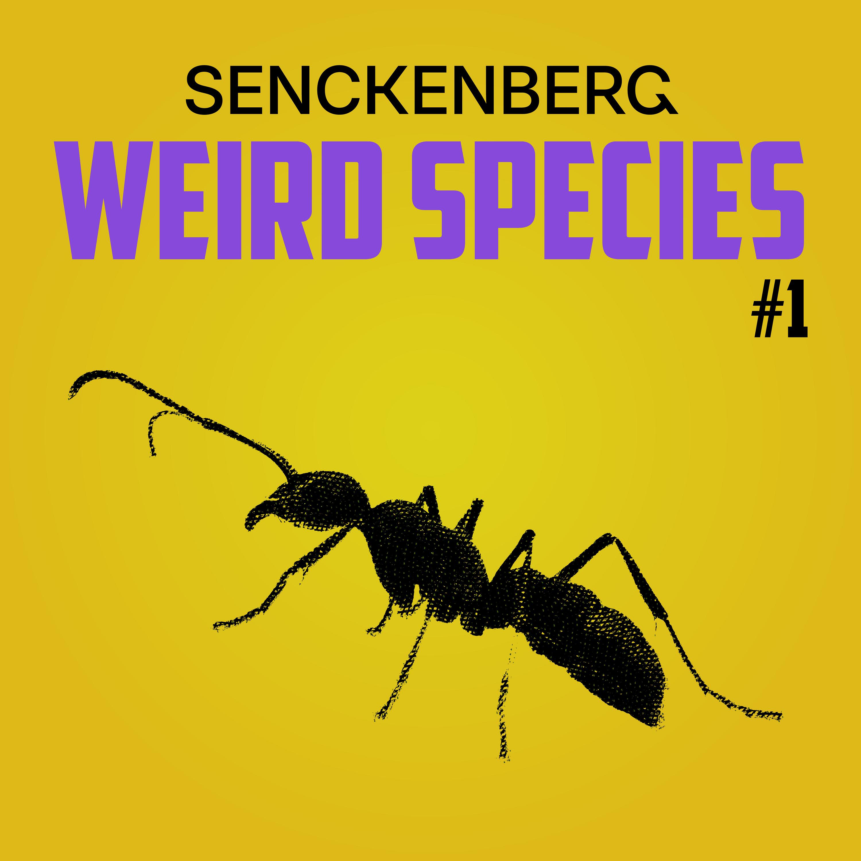 Weird Species