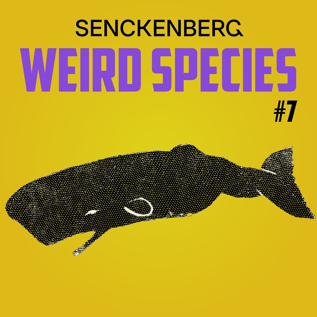 Weird Species