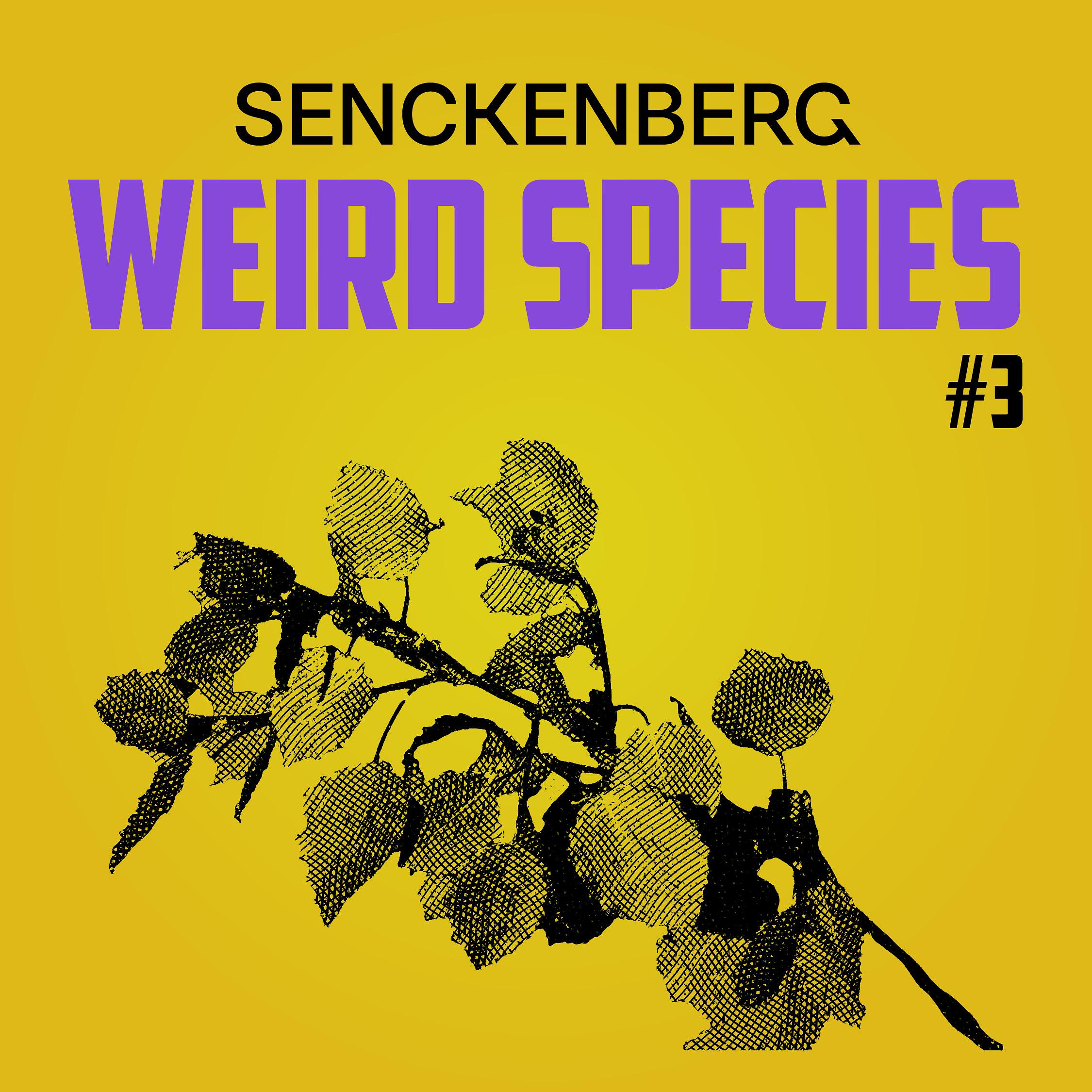 Weird Species