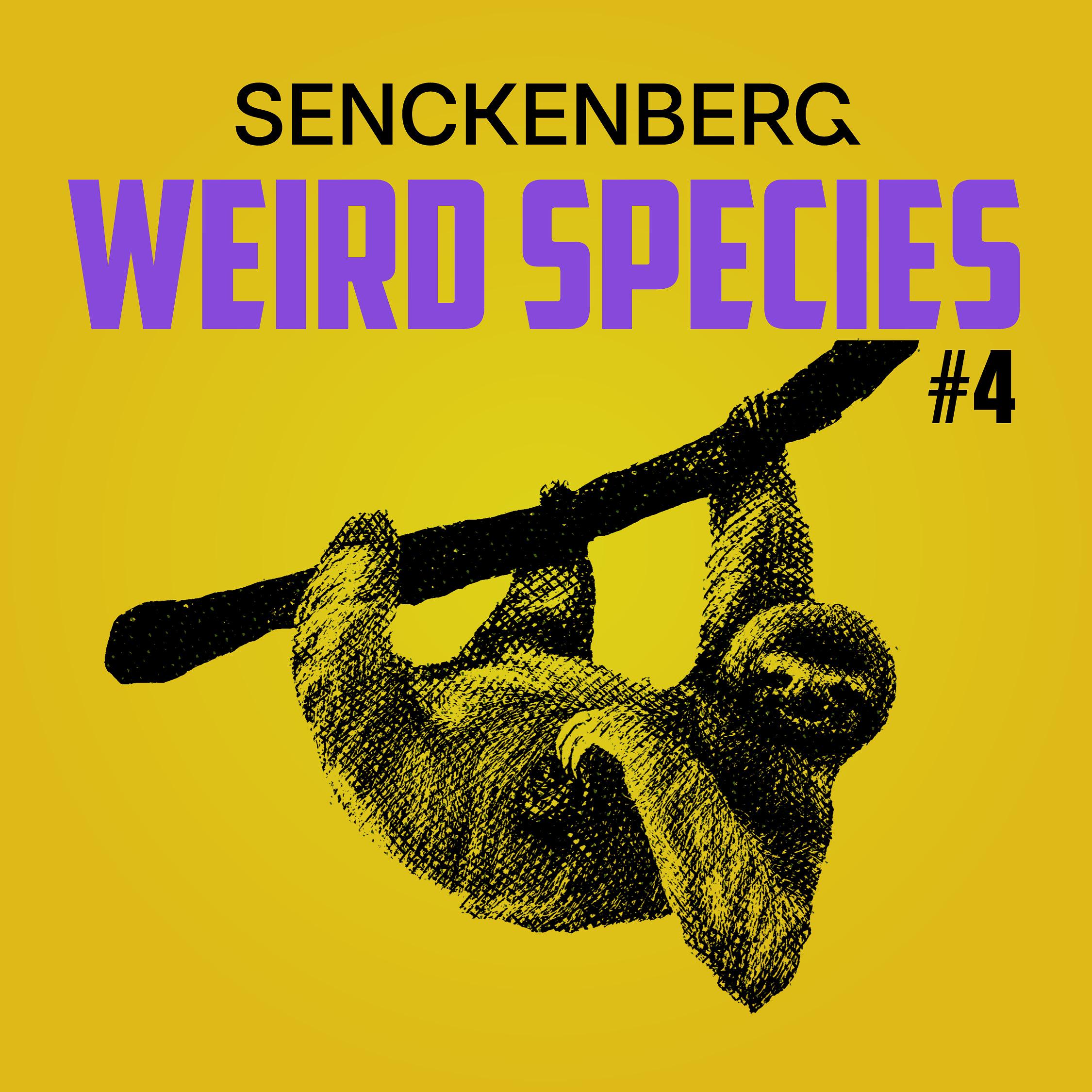 Weird Species