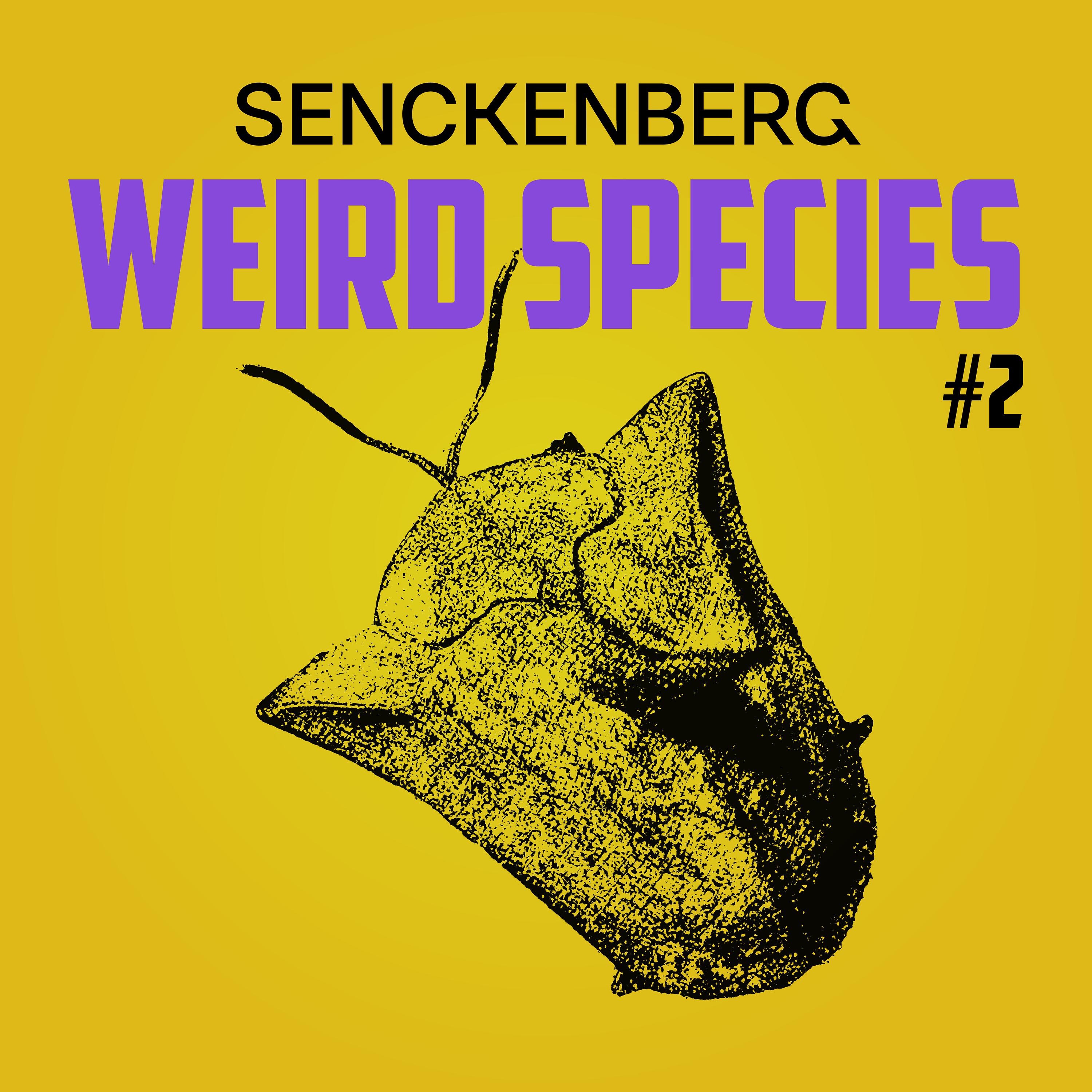 Weird Species