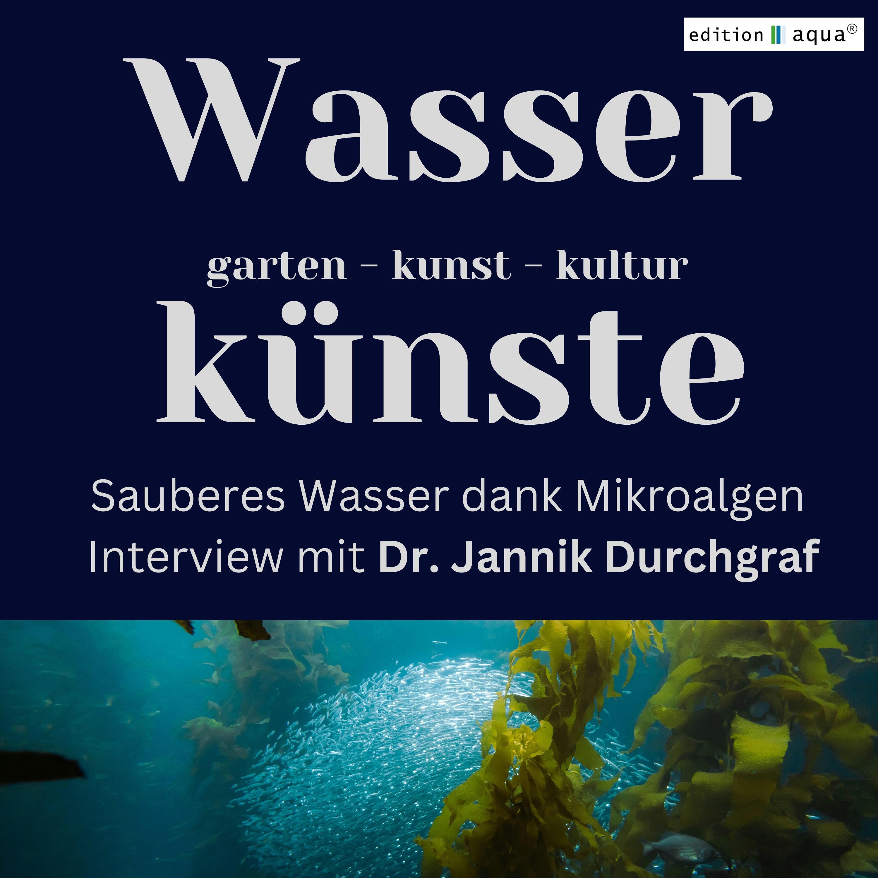 Wasserkünste