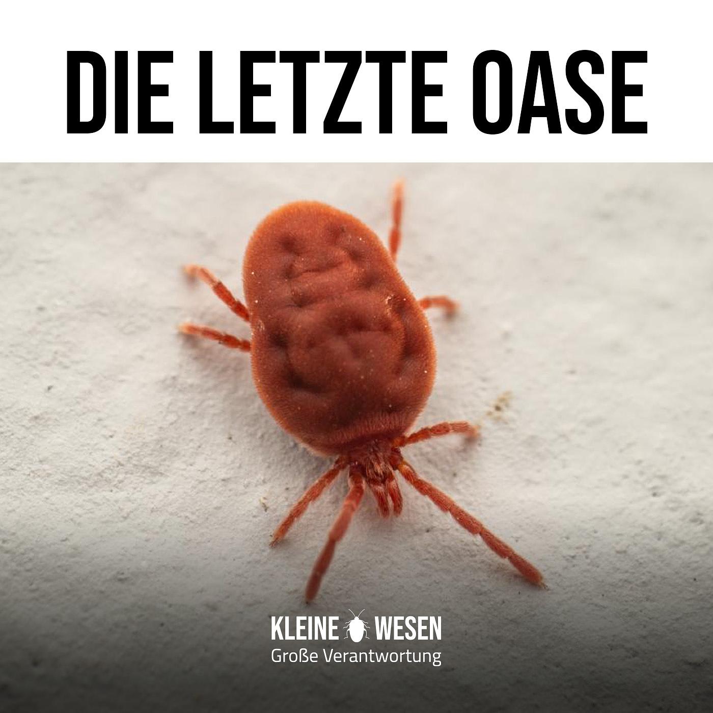 Podcast: E7: Die letzte Oase